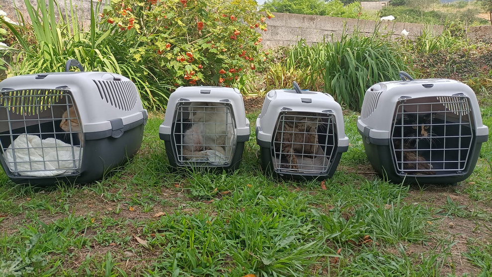 2024061317245441763 (1)