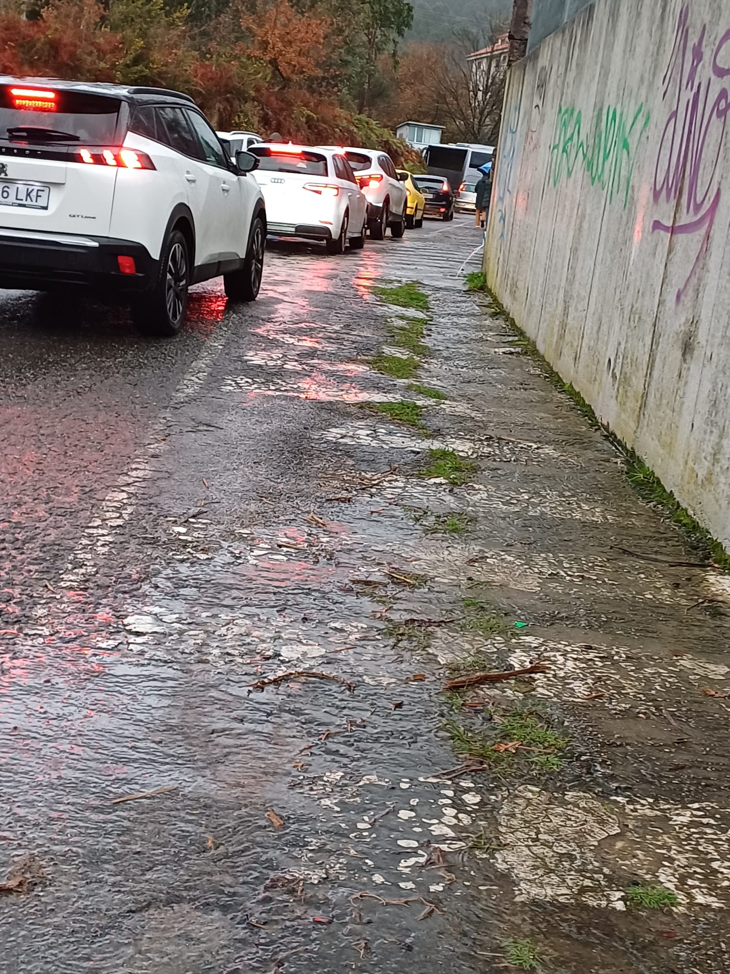 20250123_Mocion_BNG_A_Florida_2