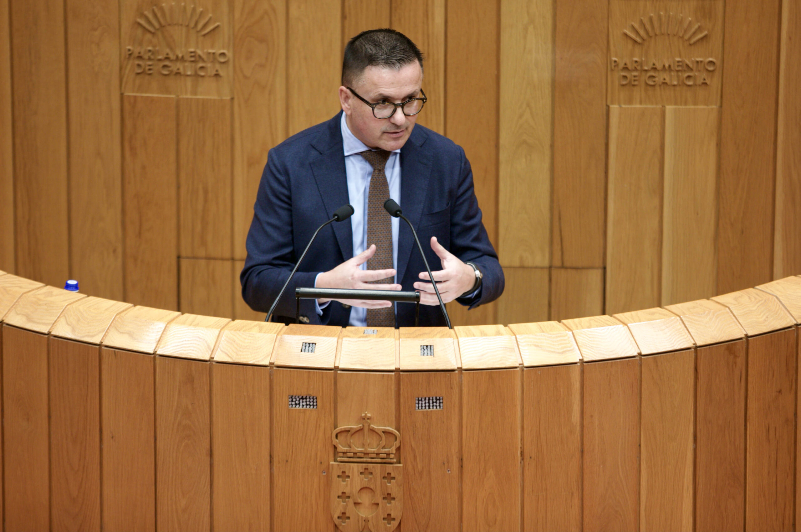 20250128ConselleiroEmpregoComparecenciaParlamento