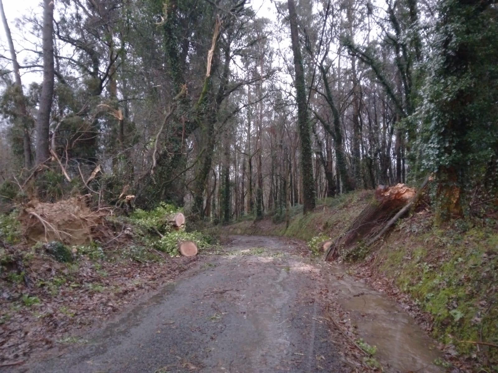 CCIA CORUNA – O BARREIRO