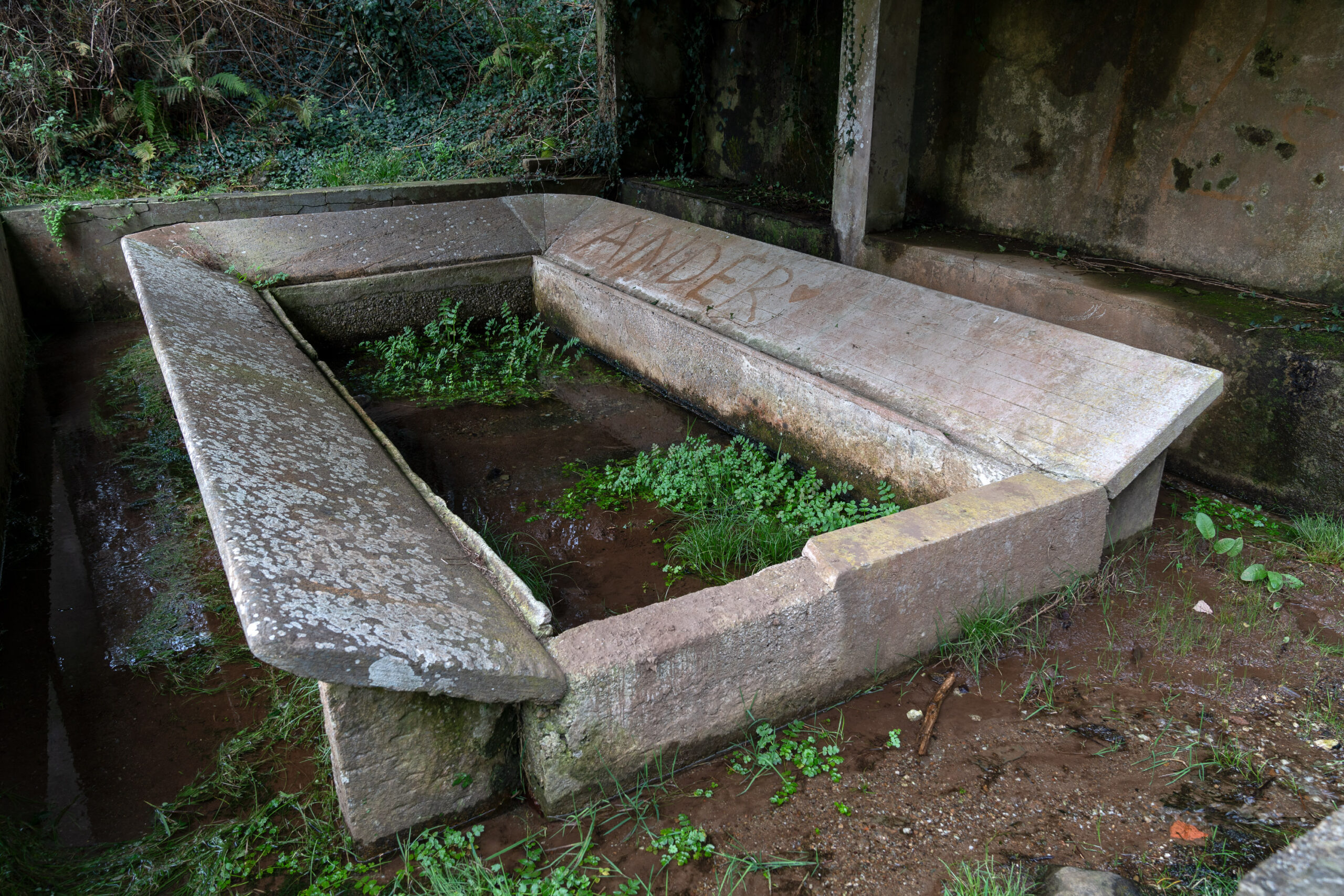 _DSC7829_3000x2001_H_110_Original ratio