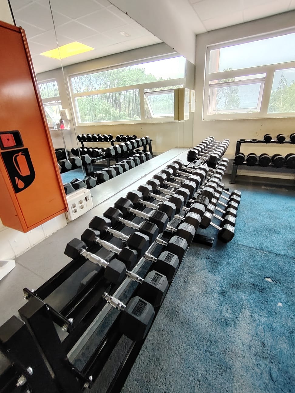 Imagen de WhatsApp 2025-01-10 a las 14.16.55_b3fb9bd5