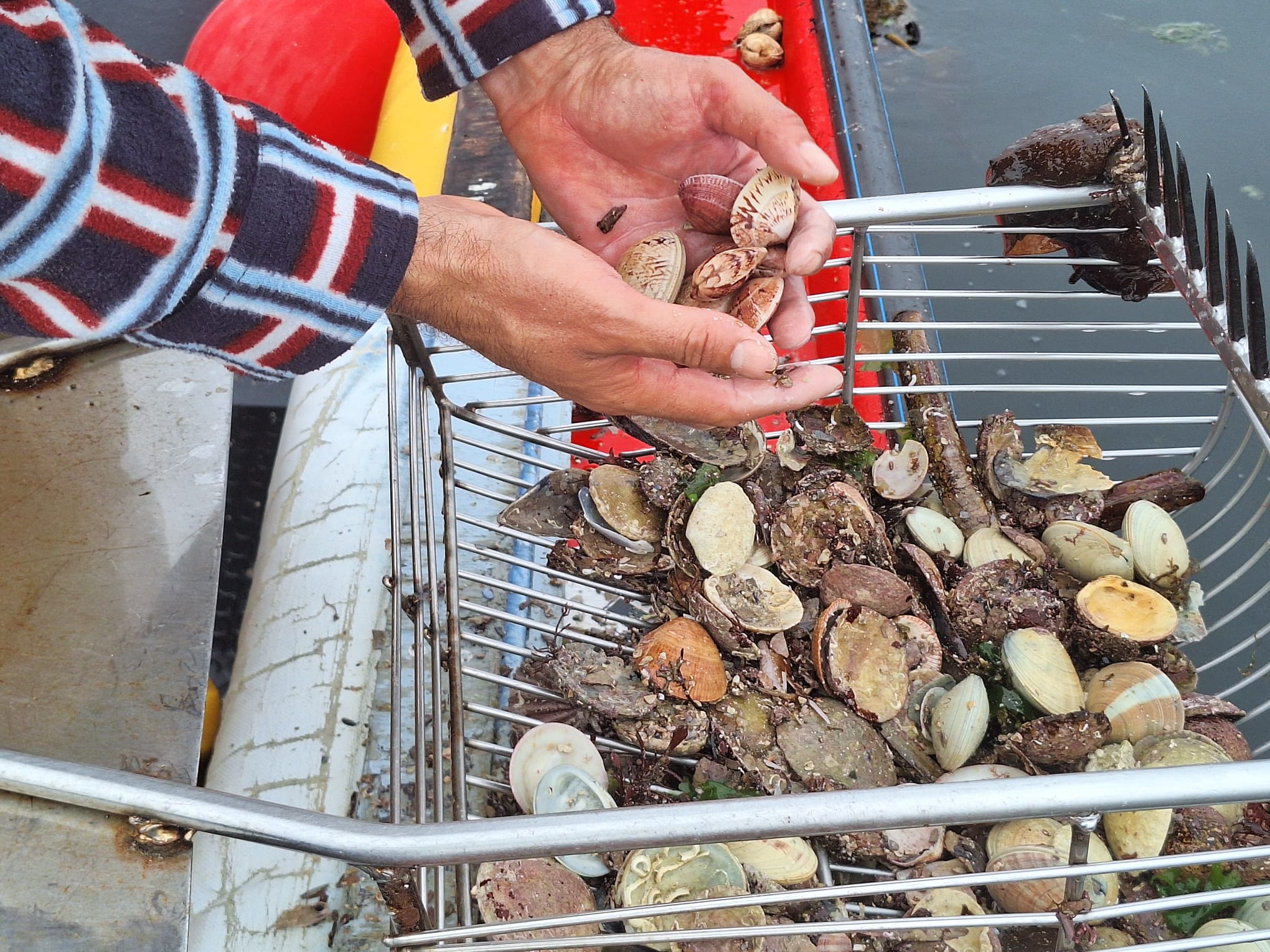 Imagen de WhatsApp 2025-01-23 a las 10.50.55_9ce2727a