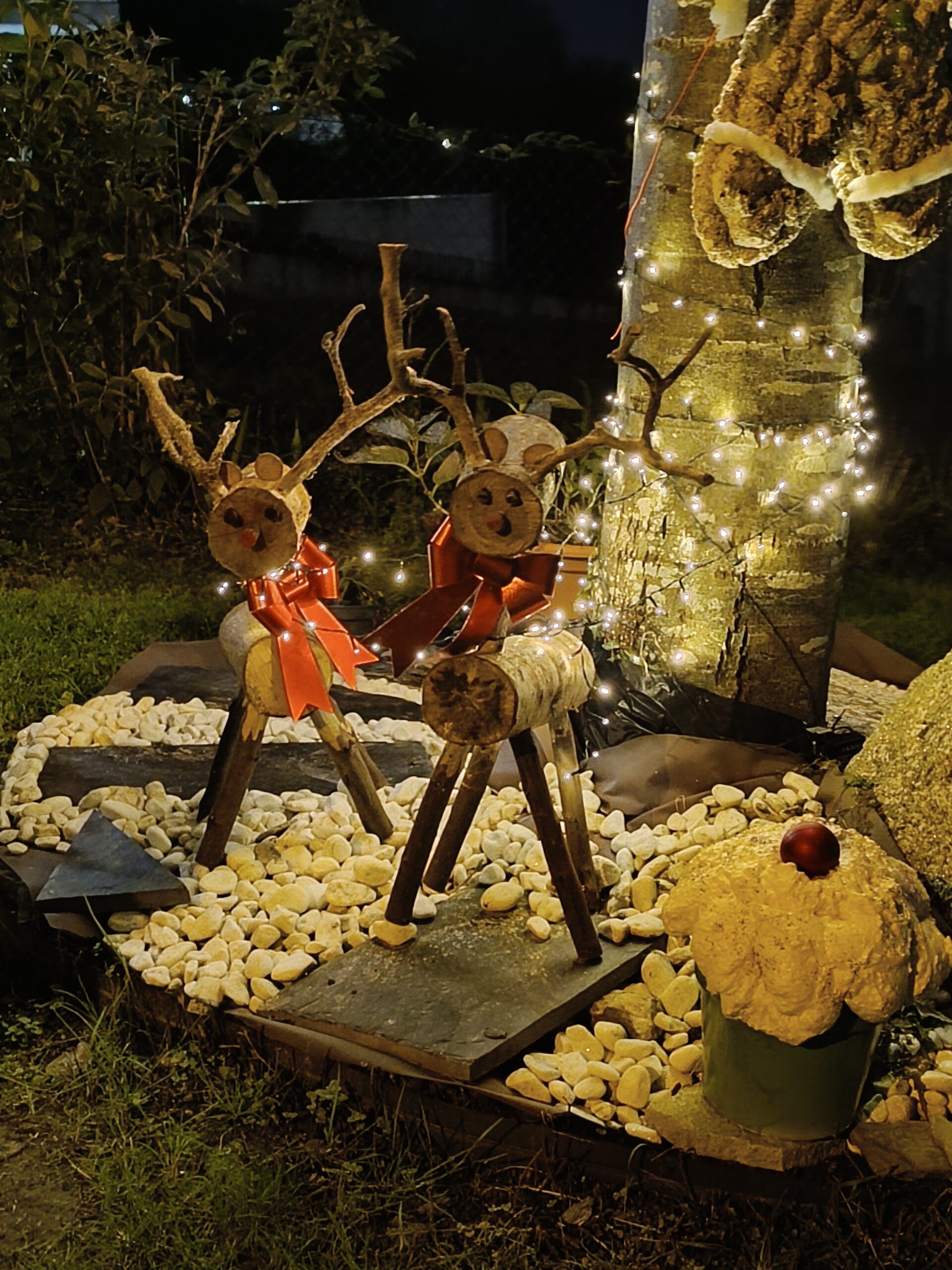 LORENA-IMG_20241216_212859