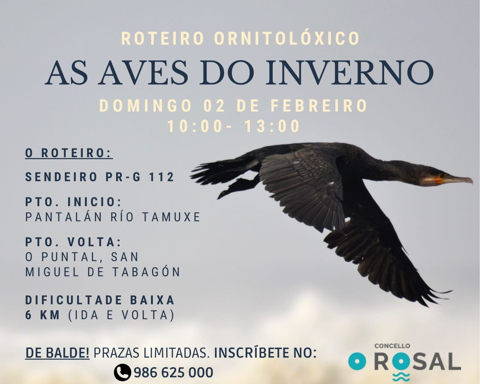 O Rosal descobre o mundo das aves de inverno cun roteiro ornitoloìxico polo Tamuxe