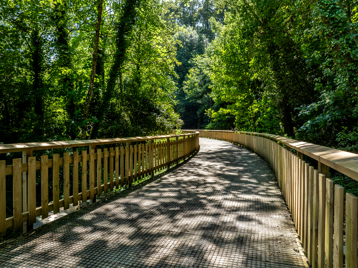 Joaquín Barreiro Cajaraville