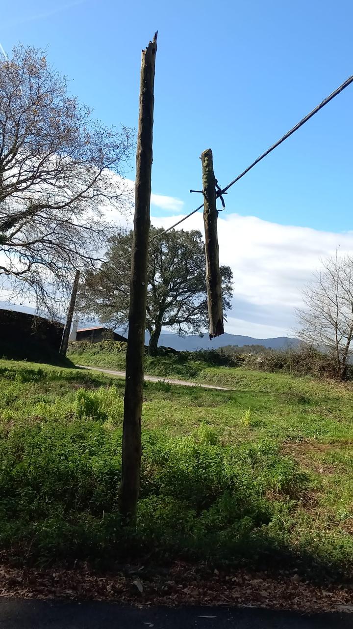 WhatsApp Image 2025-01-09 at 09.11.16