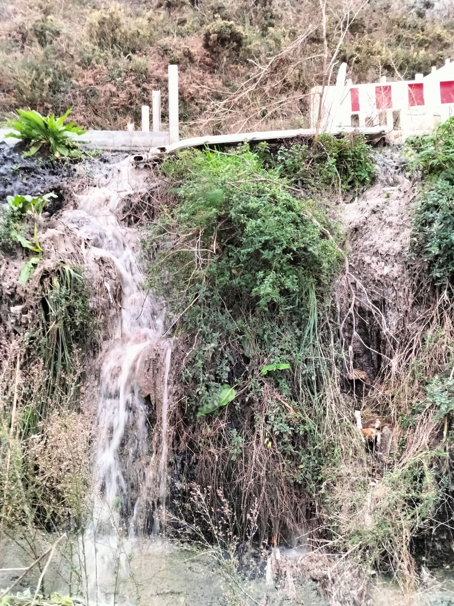 WhatsApp Image 2025-01-13 at 10.31.29