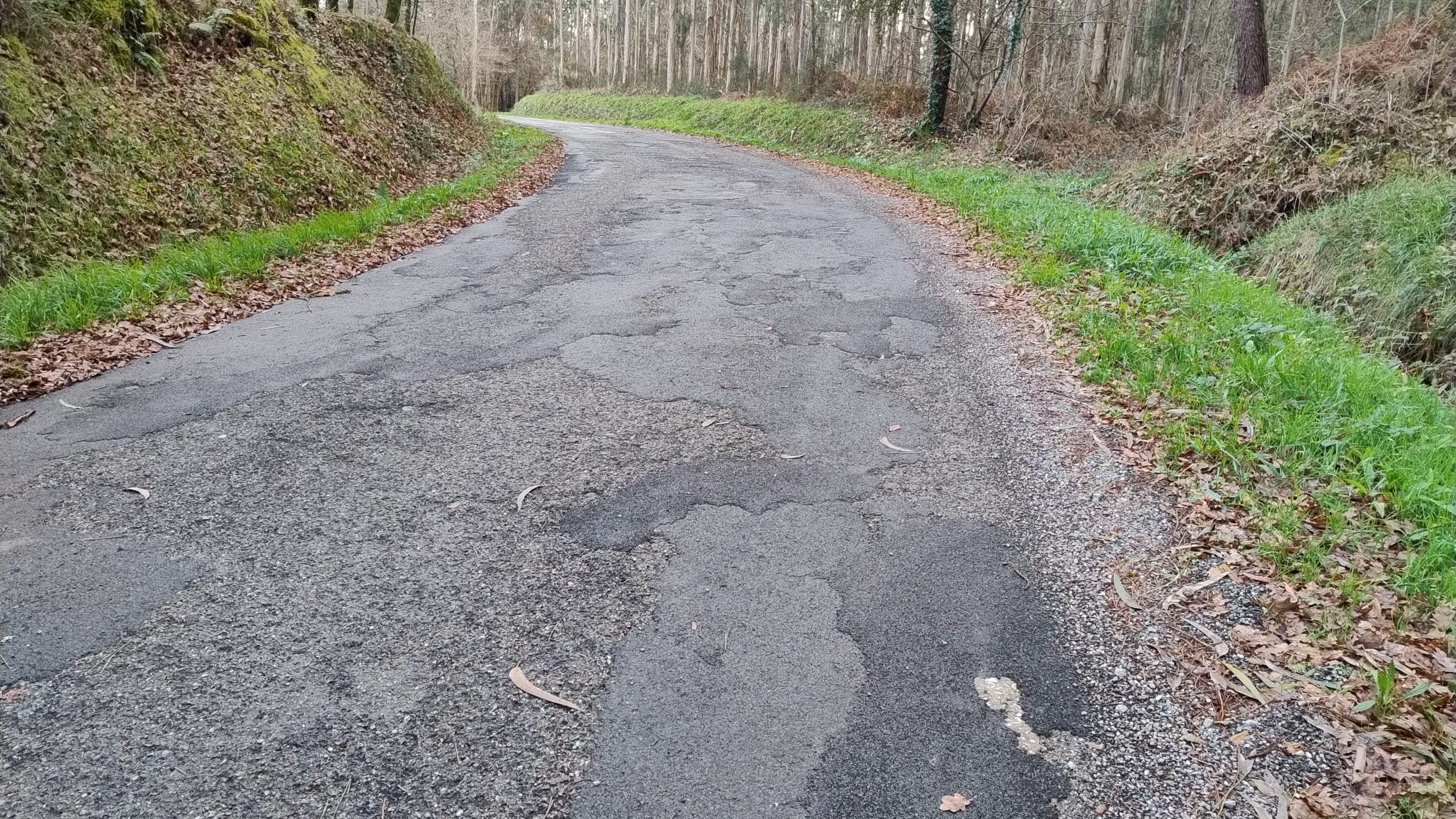 WhatsApp Image 2025-01-27 at 10.49.54