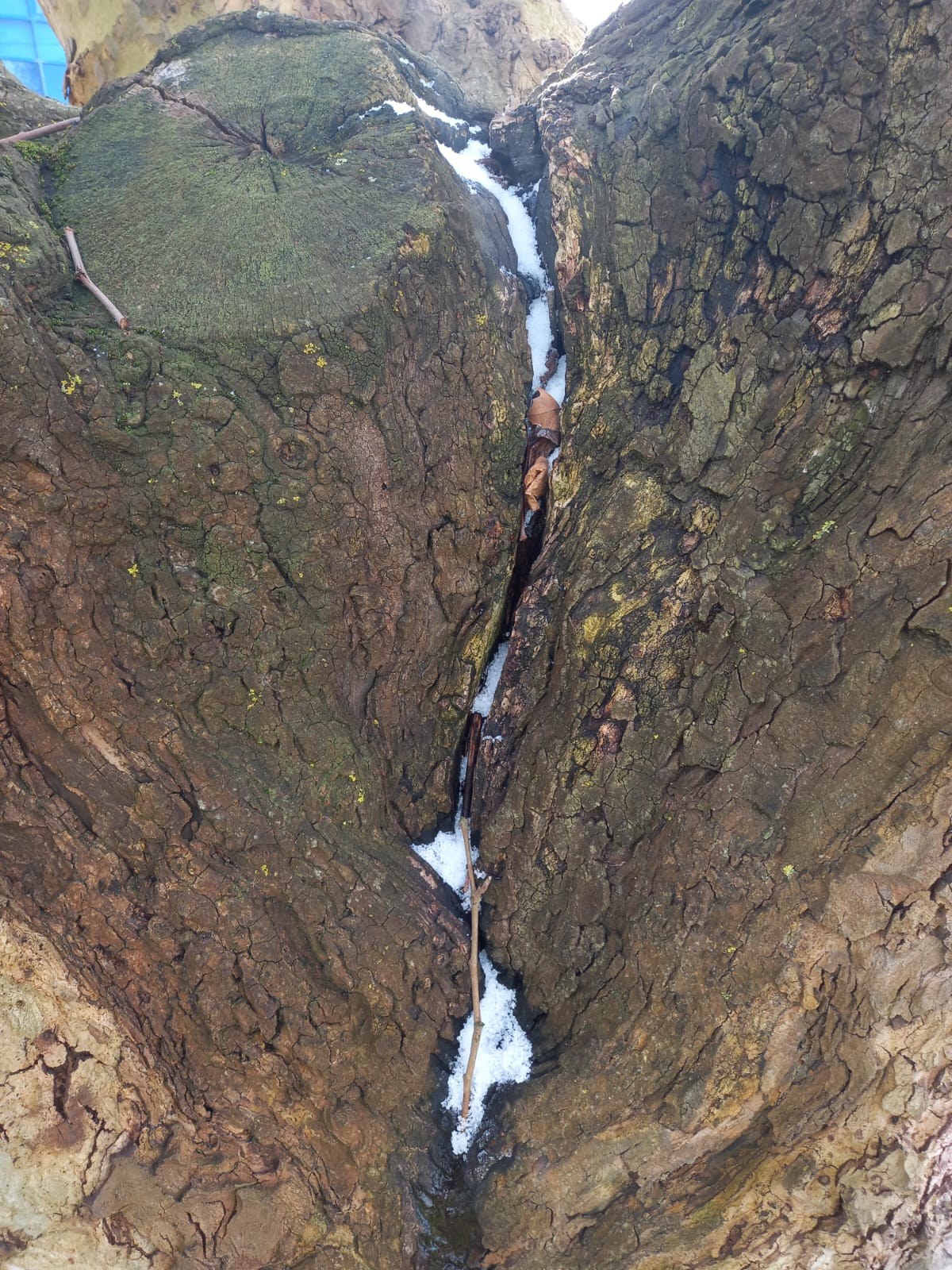 WhatsApp Image 2025-01-30 at 13.34.27 (1)