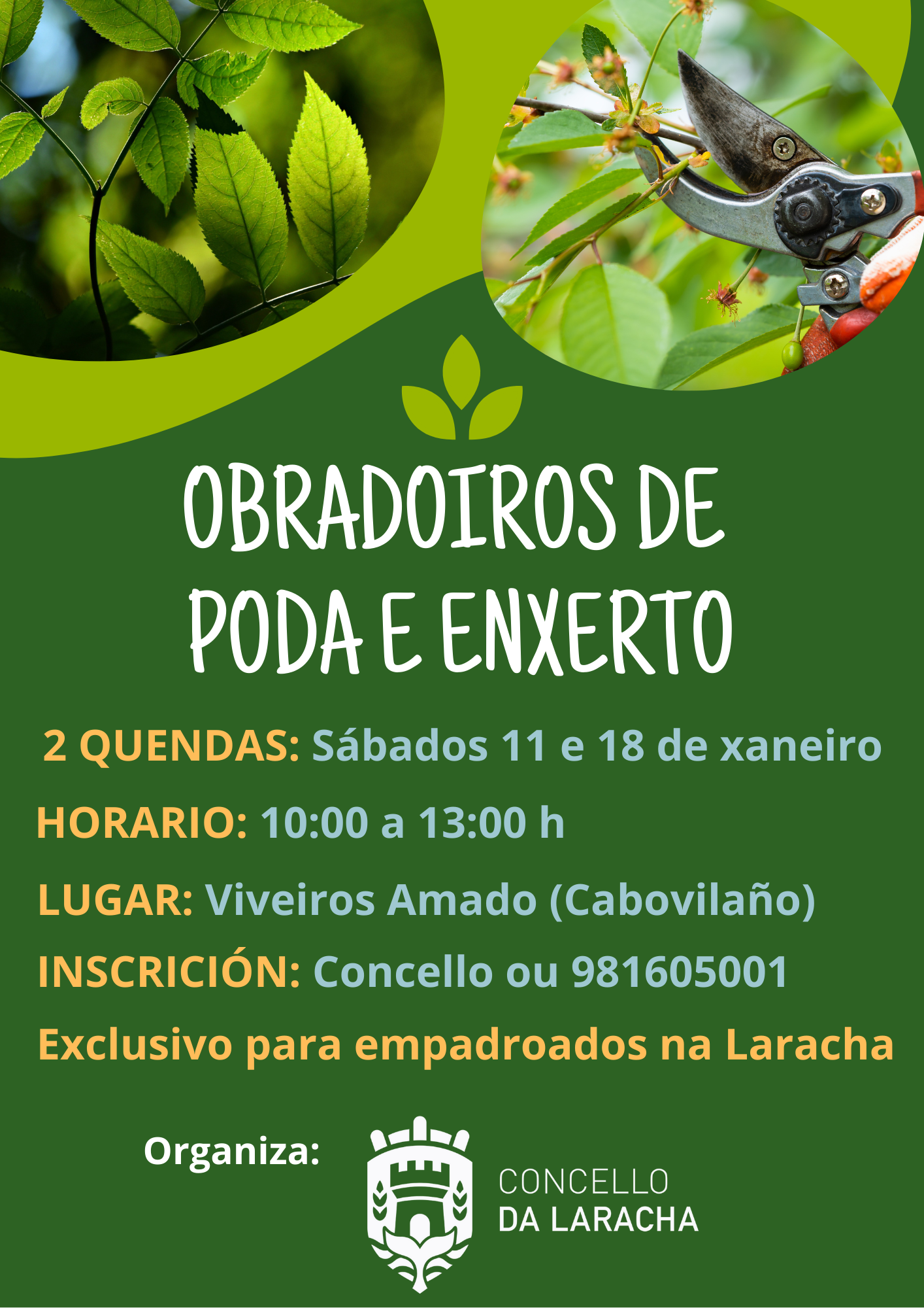 obradoiro de poda e enxerto
