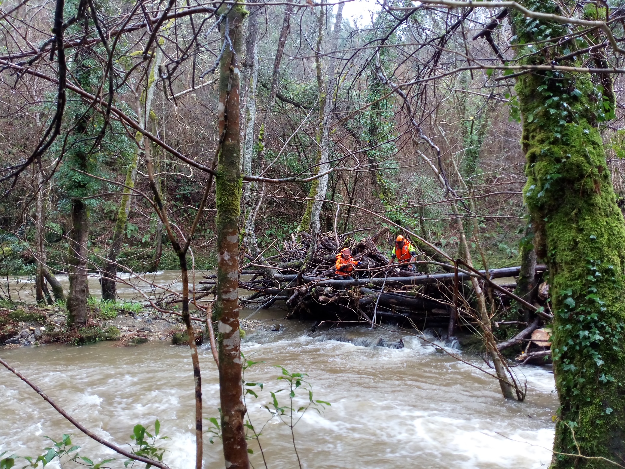20250210 TraballosConservacionRioOrtigueira