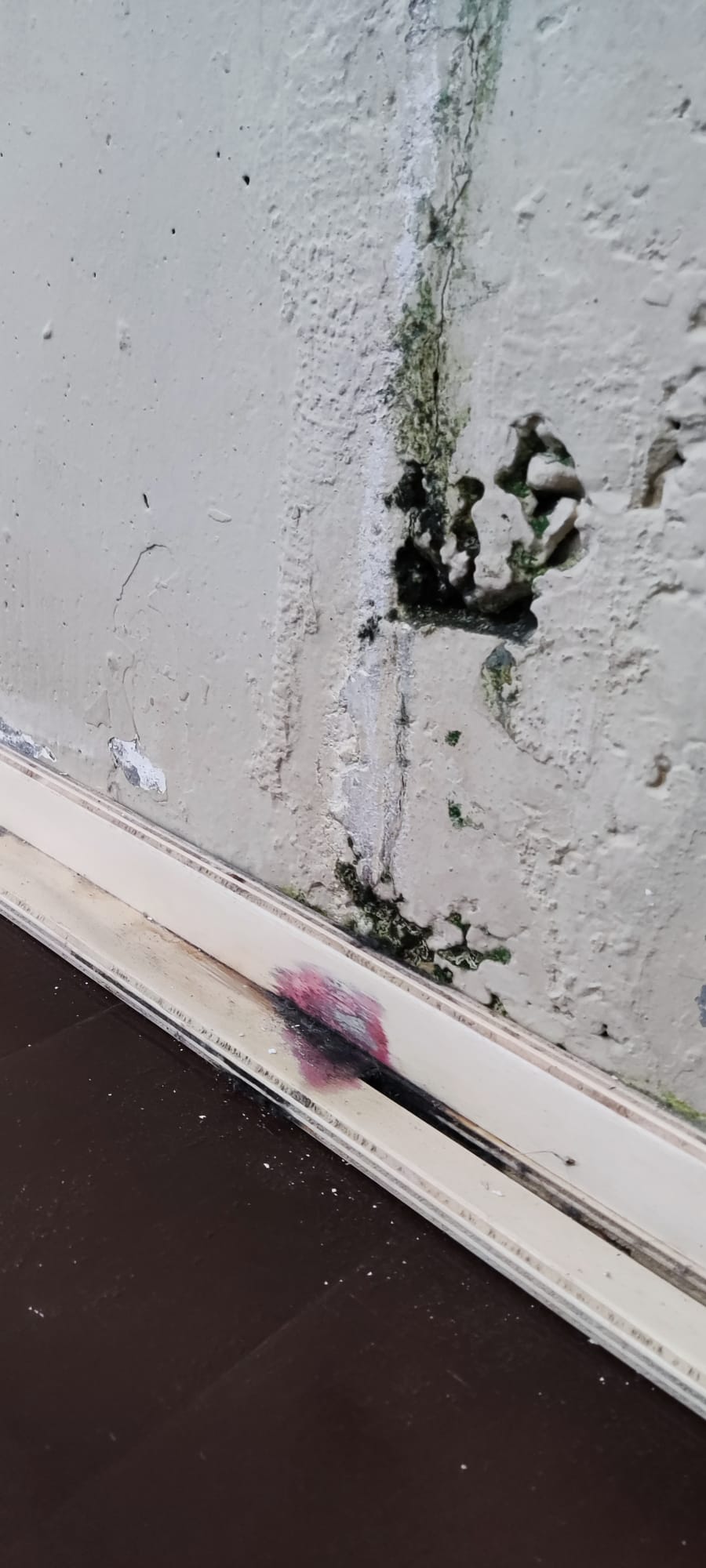 20250213_Nota de prensa Pavillón de Vilalonga_3