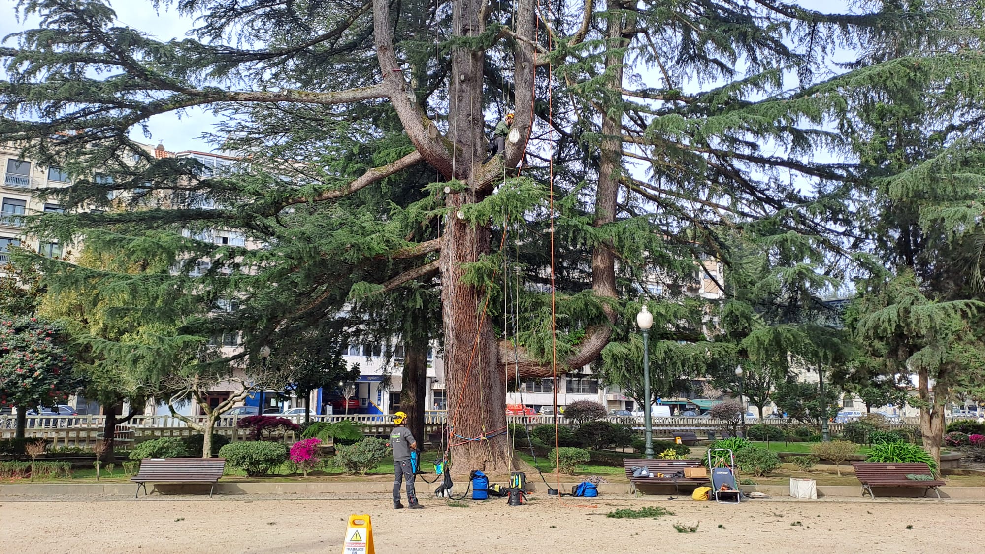 66486fb1-9393-41d0-9dc2-84f1b338be93