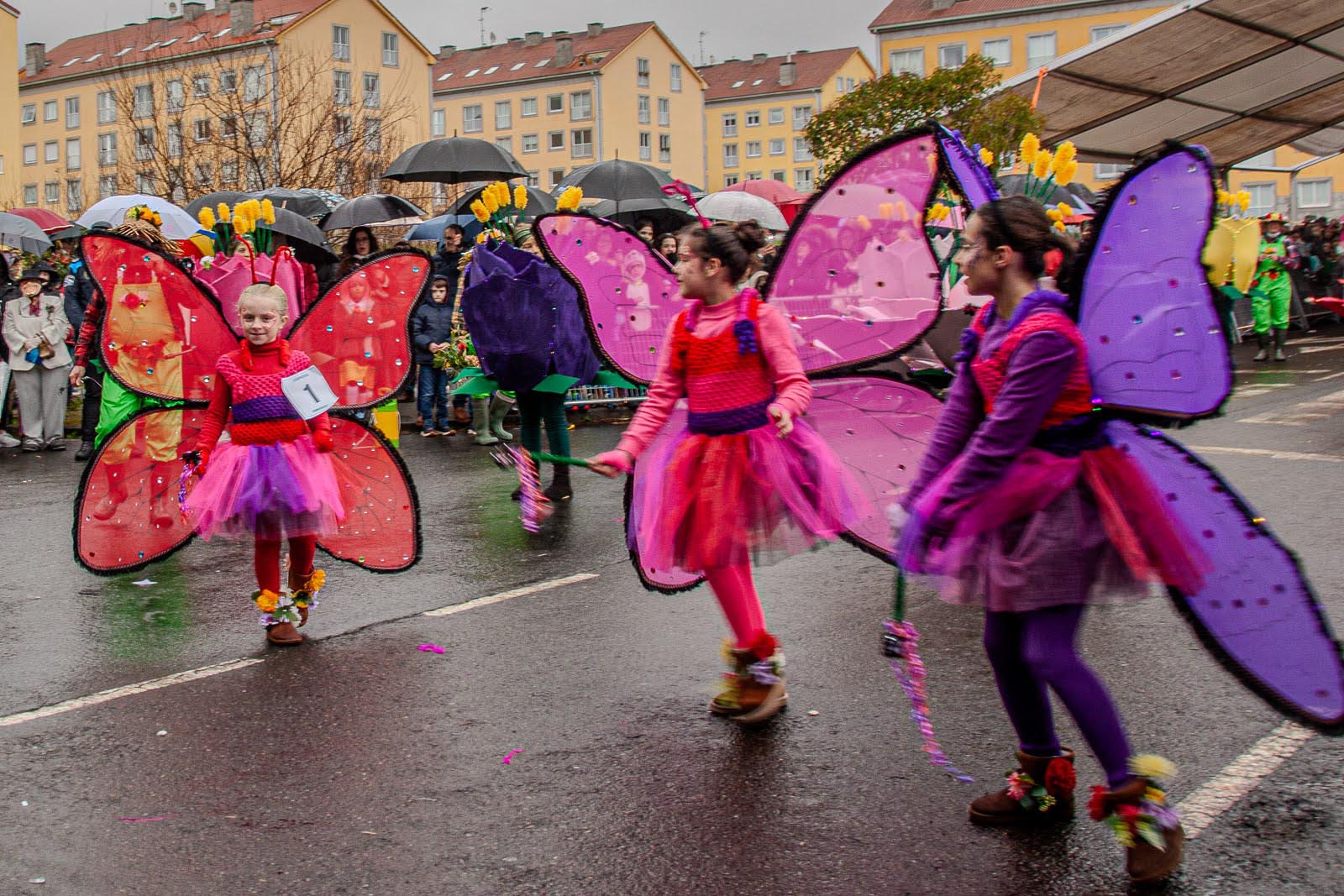 EntroidoBrion – CampionComparsaBoiro2