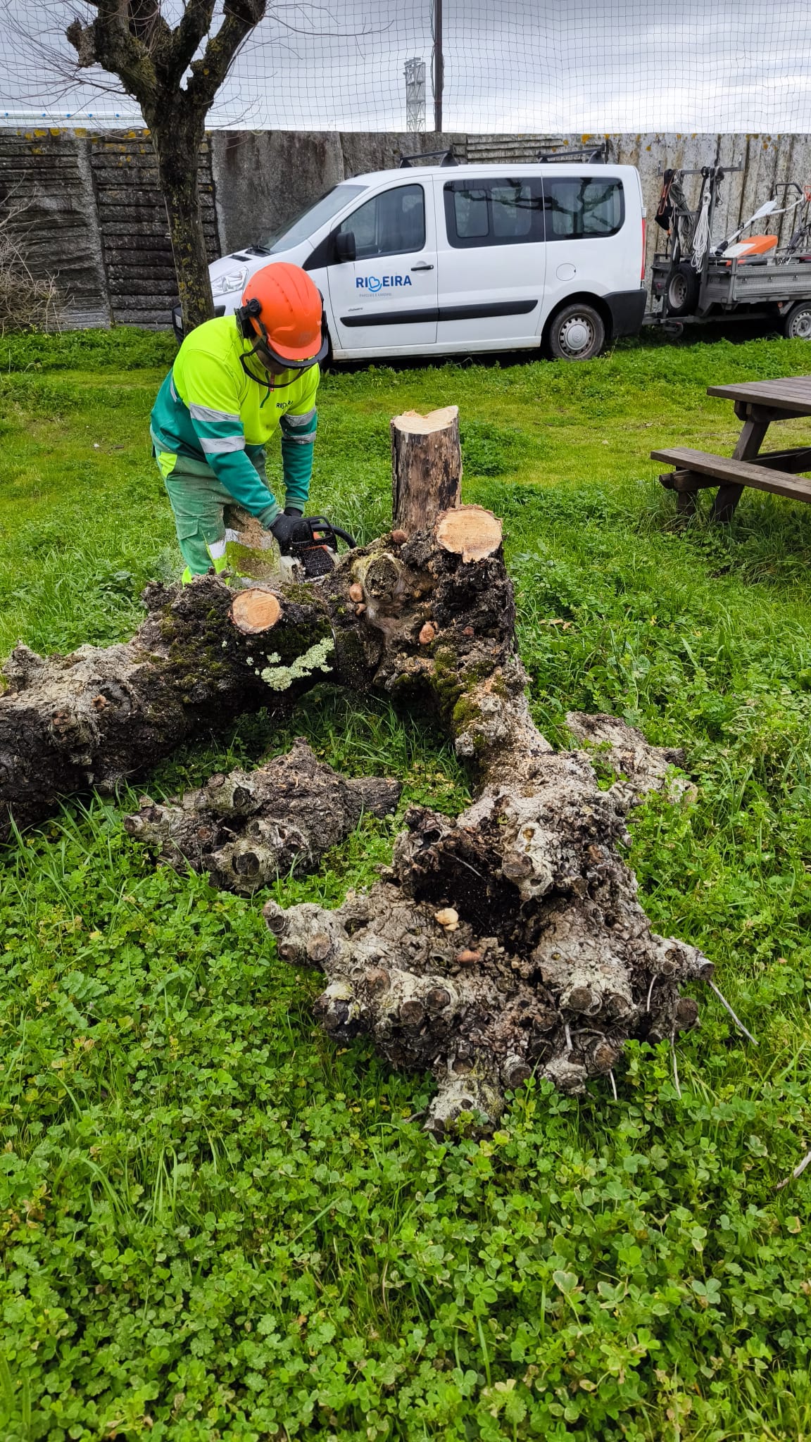 Imagen de WhatsApp 2025-02-10 a las 10.42.22_36c49ef7