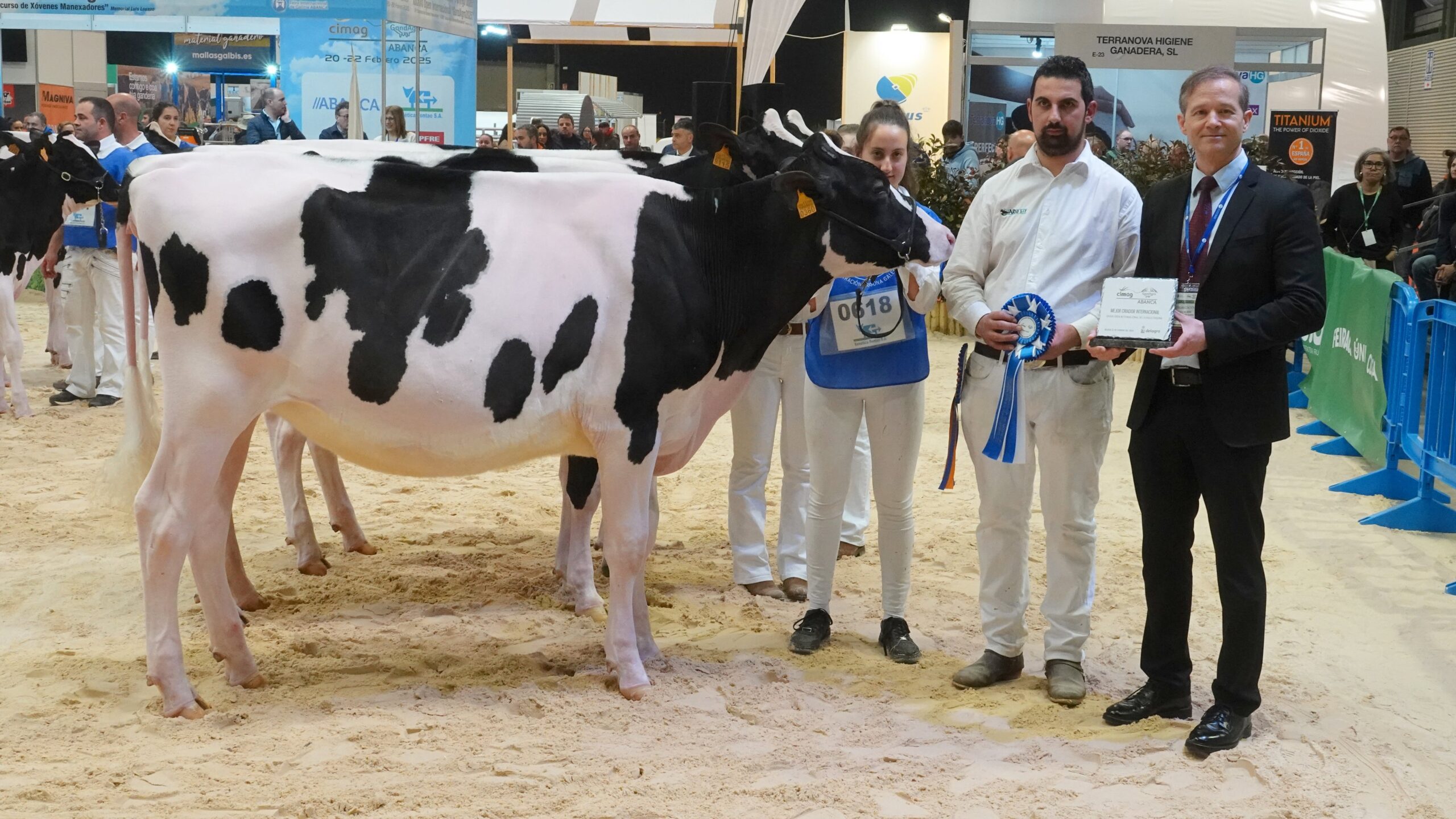Mellor criador autonómico e internacional de novillas Open GandAgro 2025 DSC03272