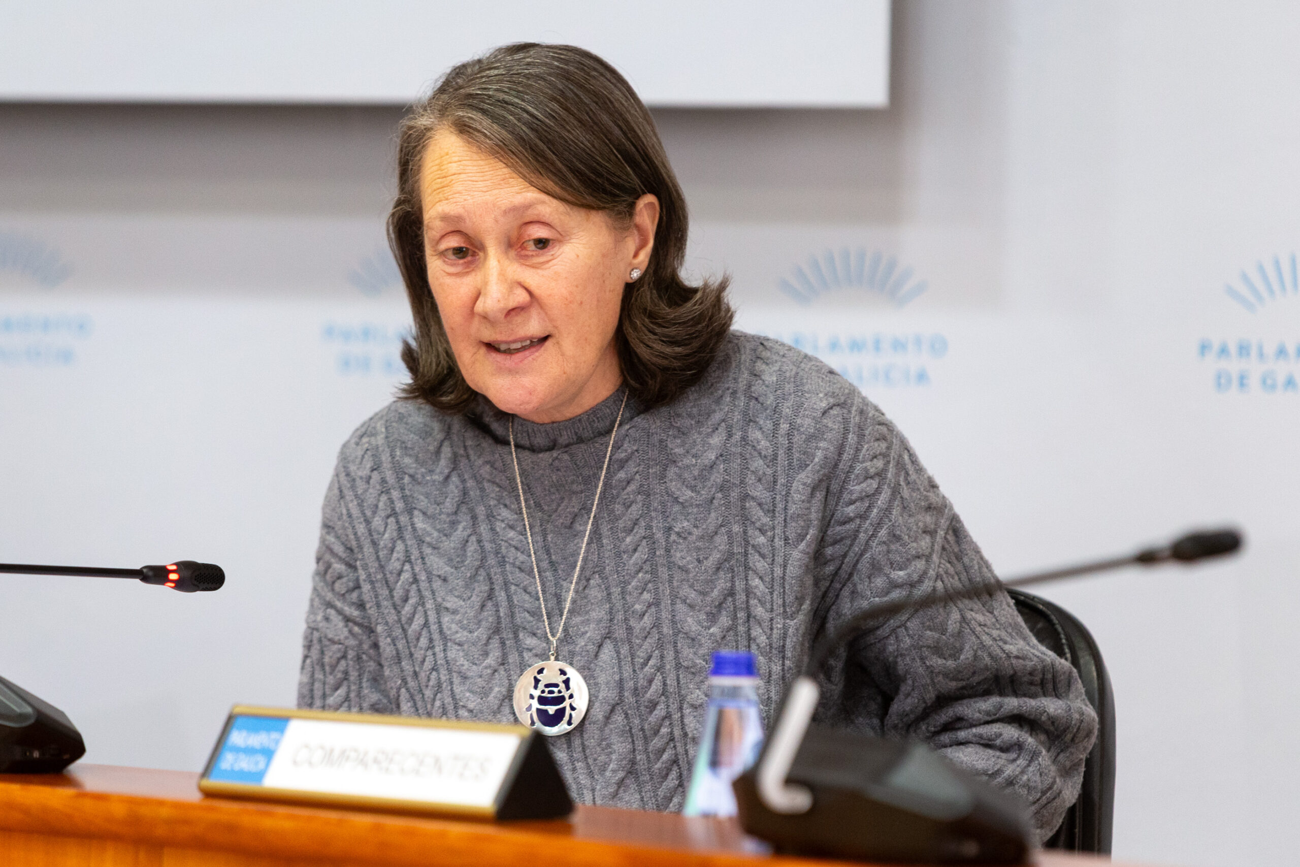 250314_comisionPatrimonio_x-1