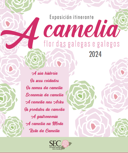 IMAGEN expo A Camelia (1)