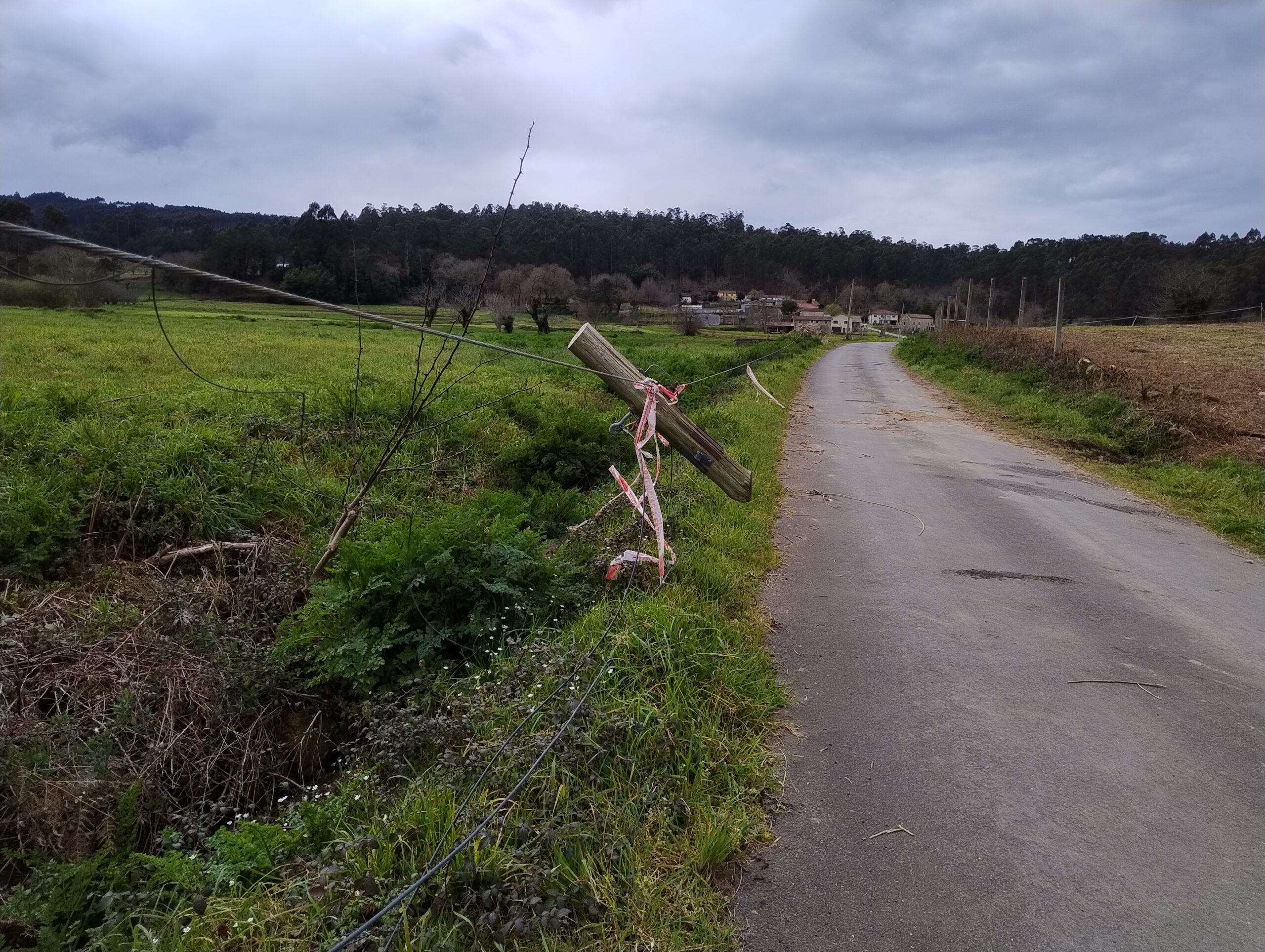 IMG_20250317_154420394