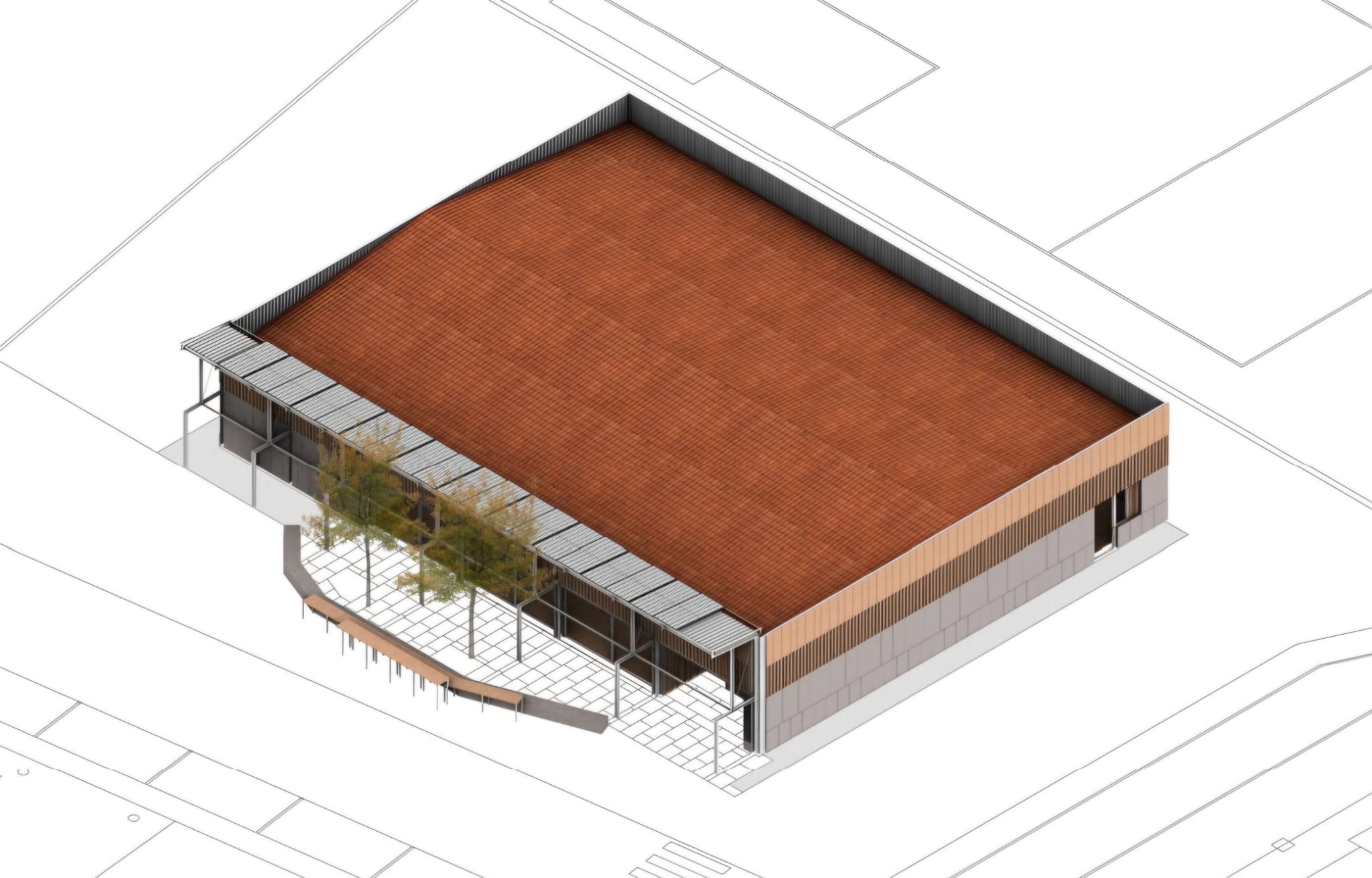 Imagen de WhatsApp 2025-03-11 a las 16.23.09_61a79cbf