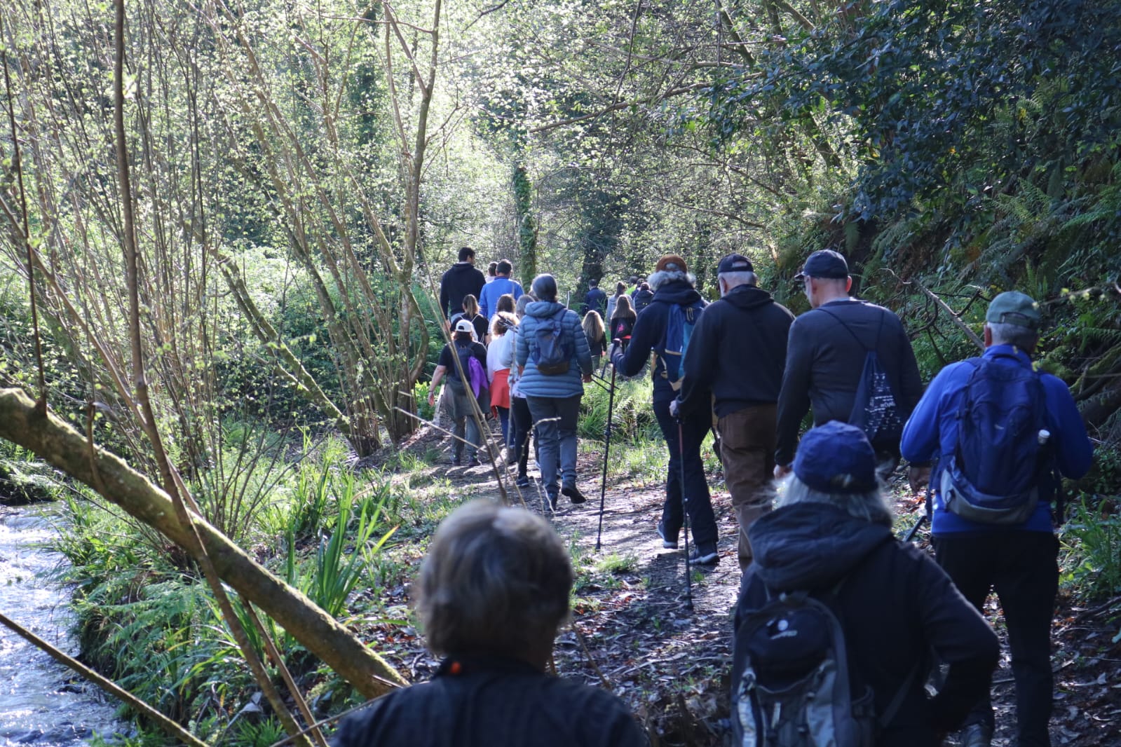 MARISMAS DO BAXOI 5 (1)