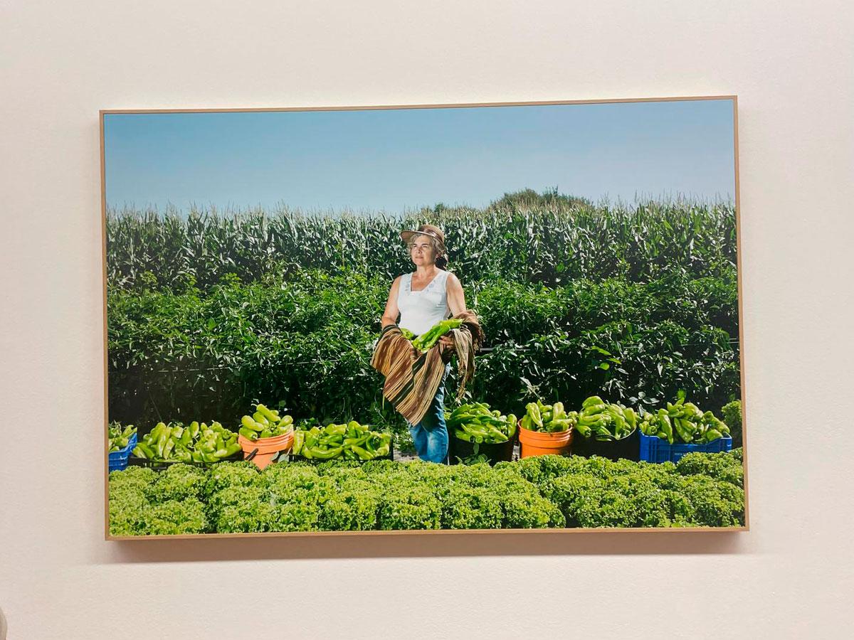 O Concello organiza unha visita guiada aě exposicioěn de Mar Caldas no CGAC