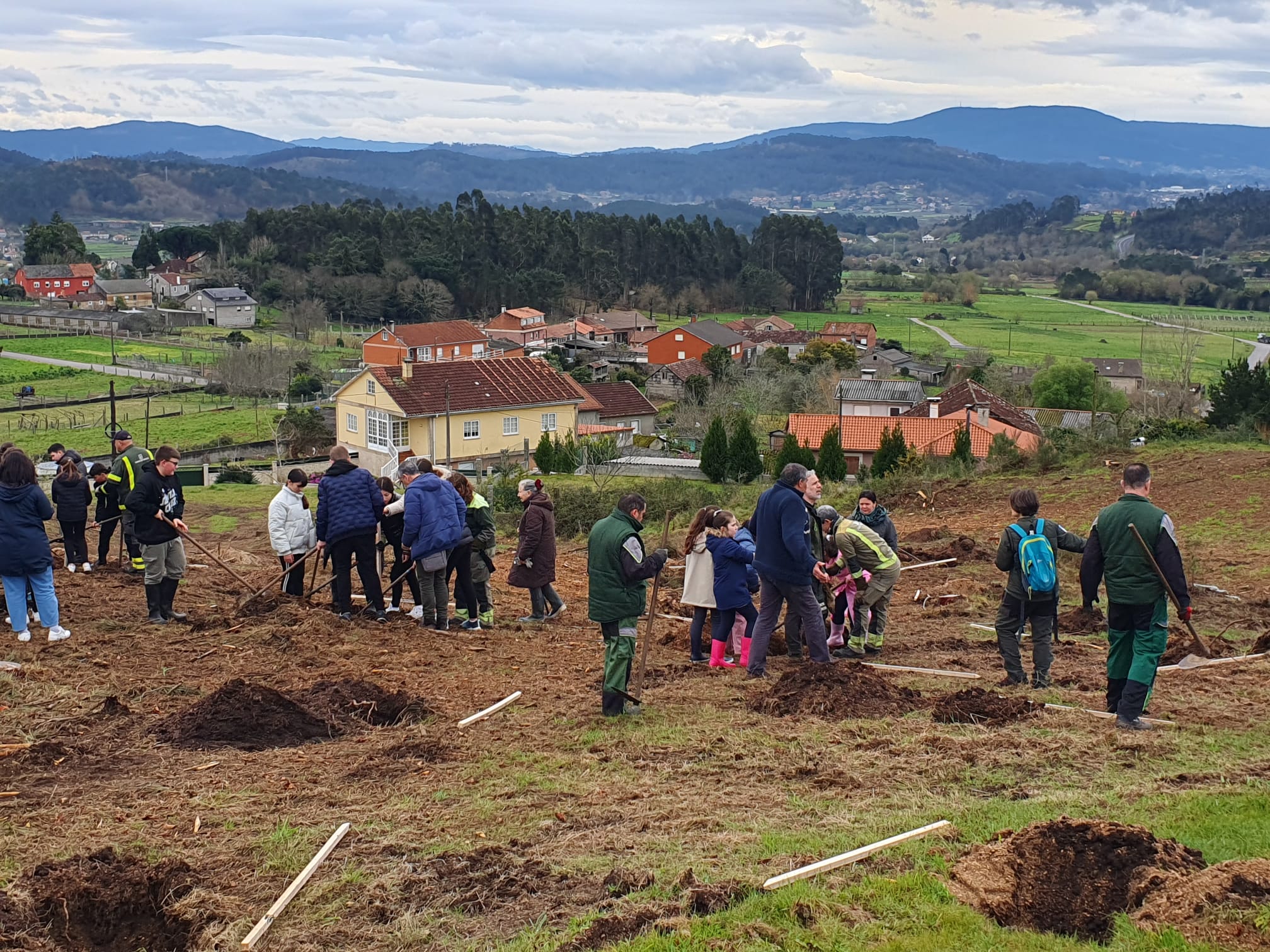 Plantación árbores