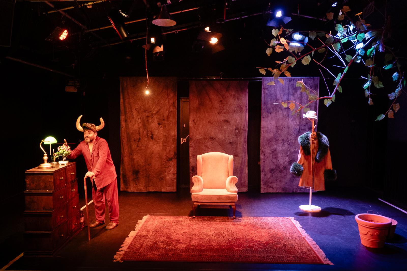 WhatsApp Image 2025-03-05 at 14.08.46