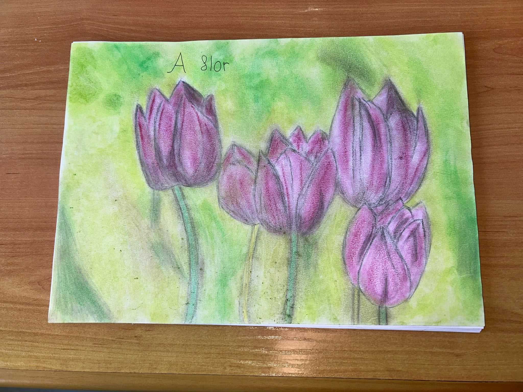 a flor – fernando c.a. premio infantil