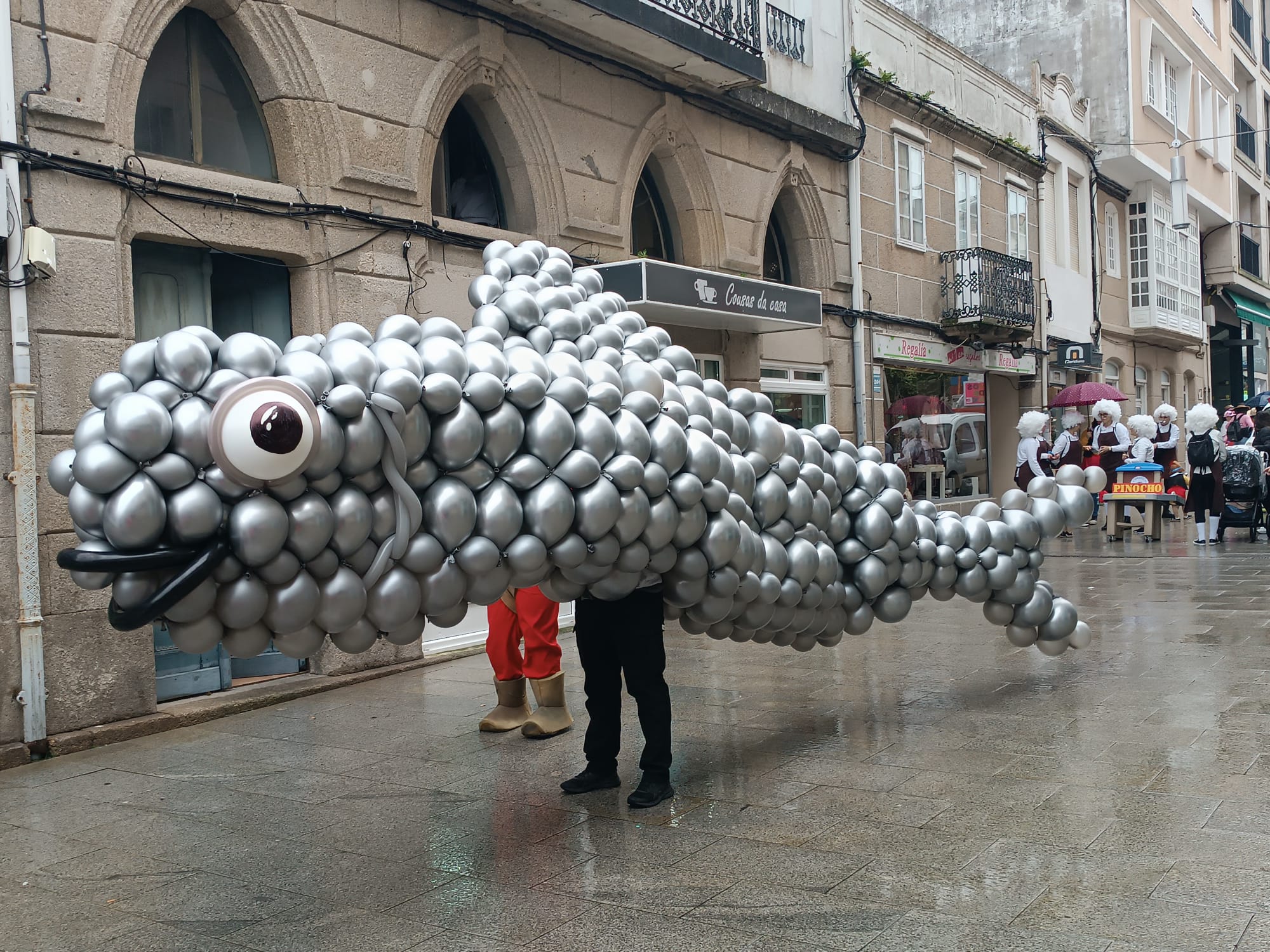 desfile enterriño da sardiña 2025 (201)
