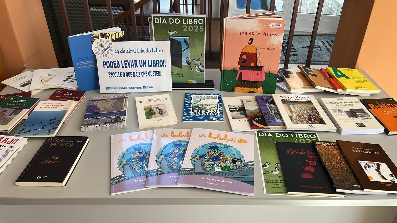 FOTO ABEGONDO- Dia Libro 1