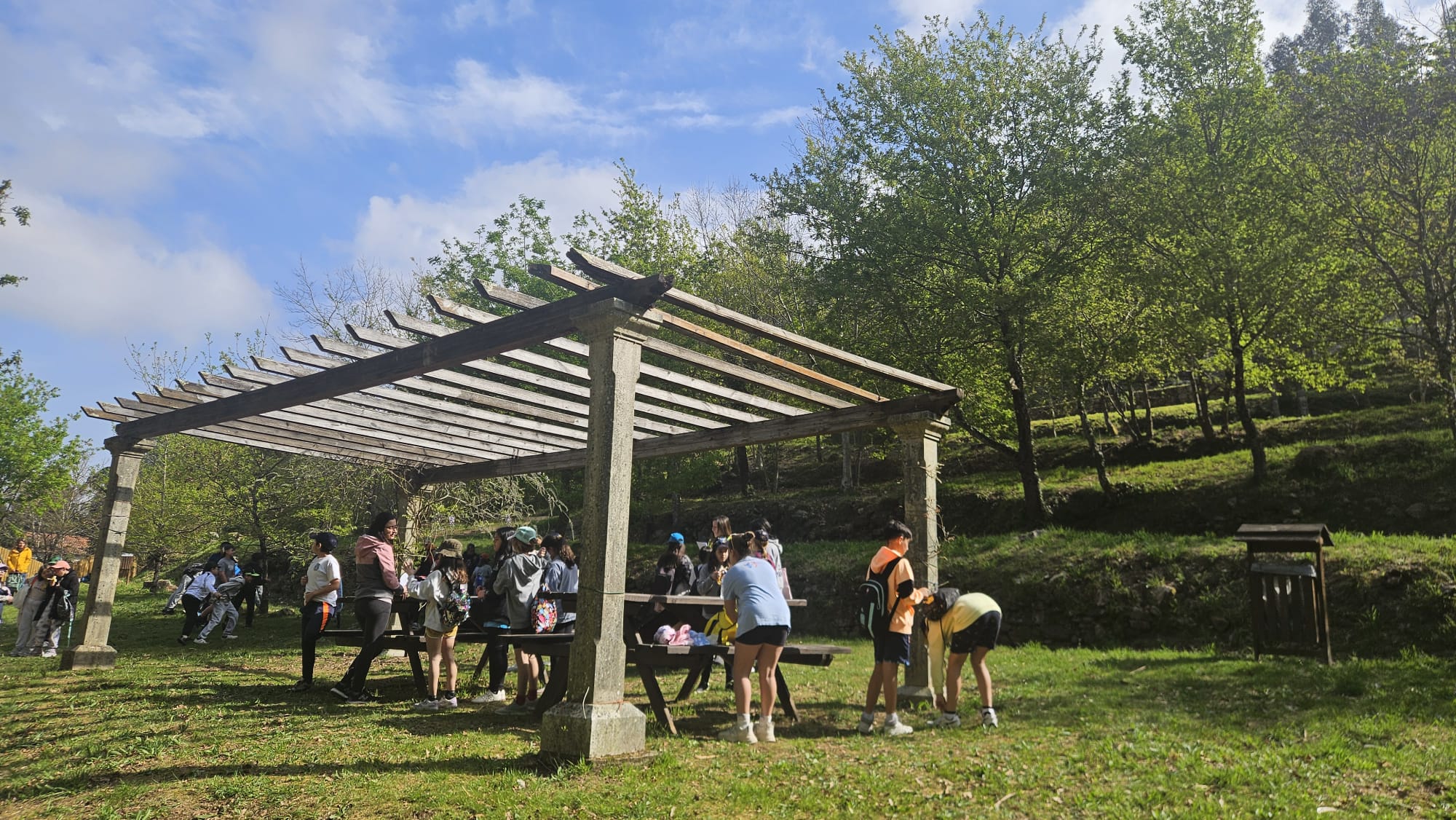 WhatsApp Image 2025-04-01 at 13.46.39 (1)