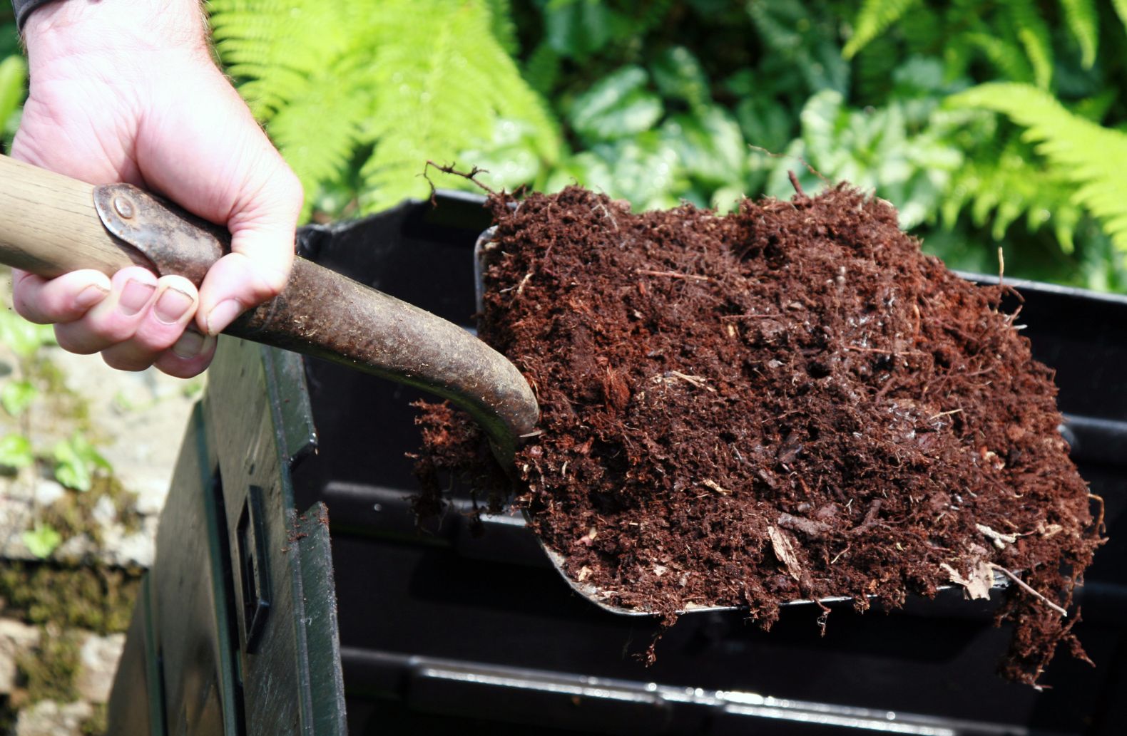 compostaxe doméstica