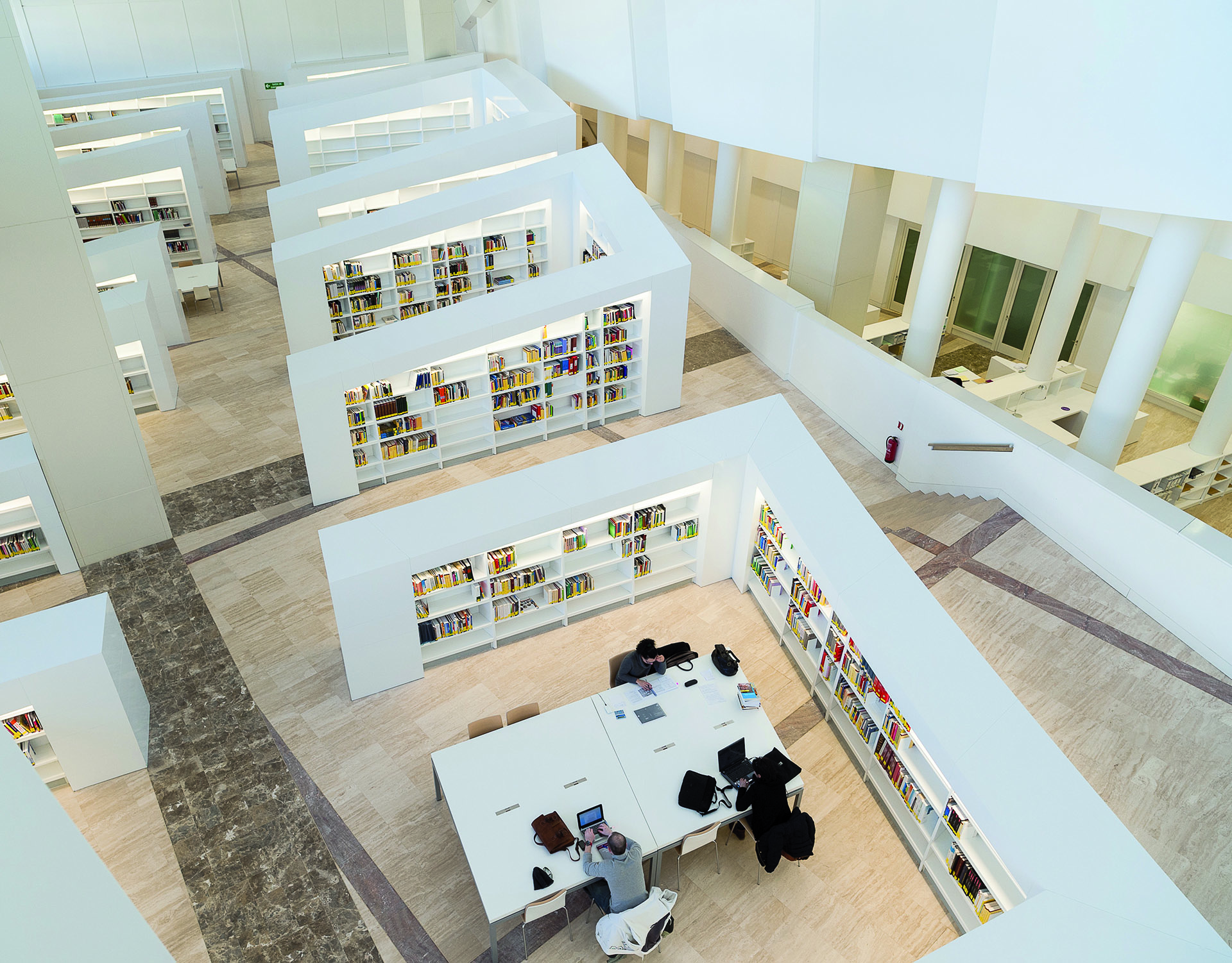 ©MANUEL G VICENTE Library 2 (1)