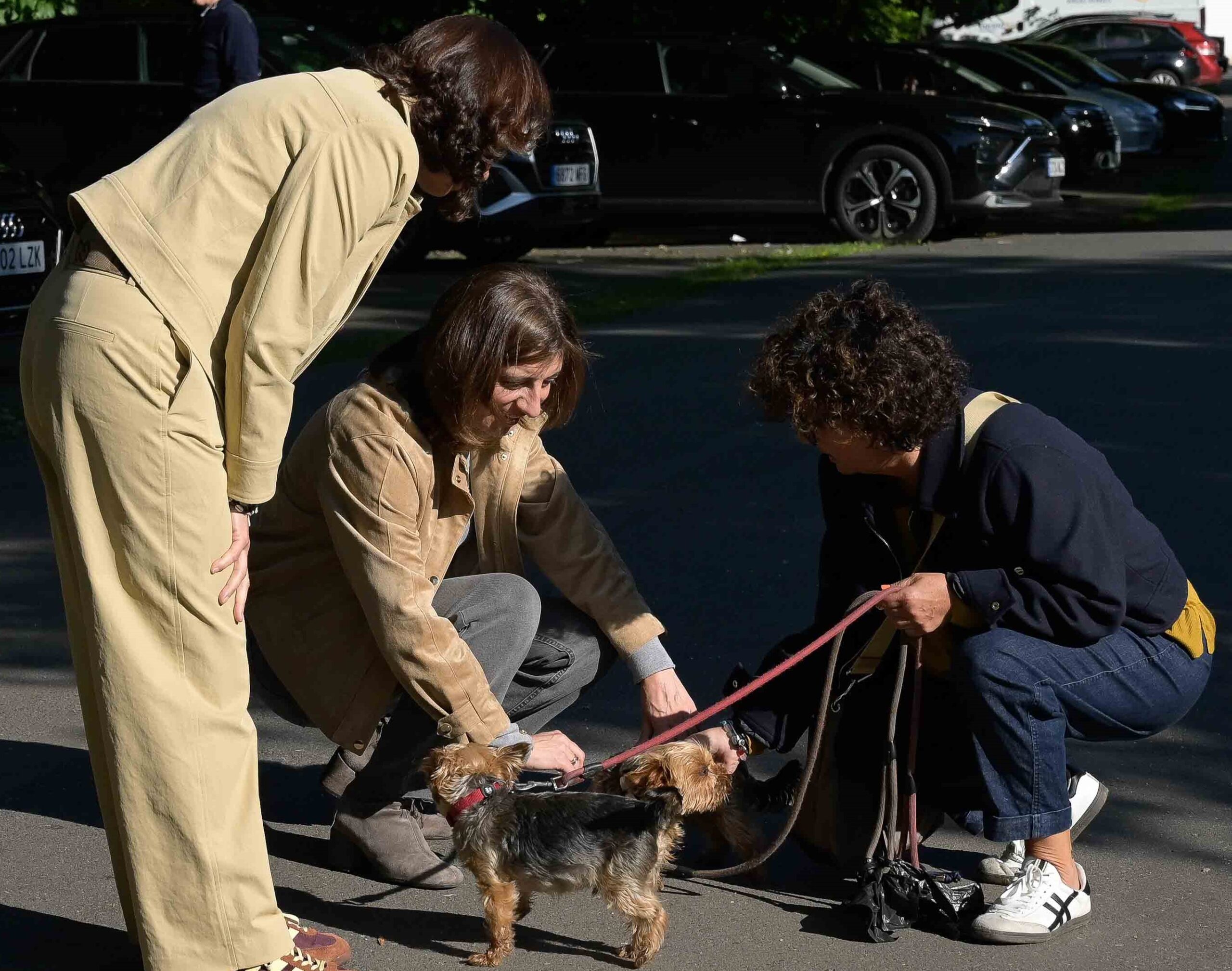 20250515 AVMAxudasAnimaisCompania