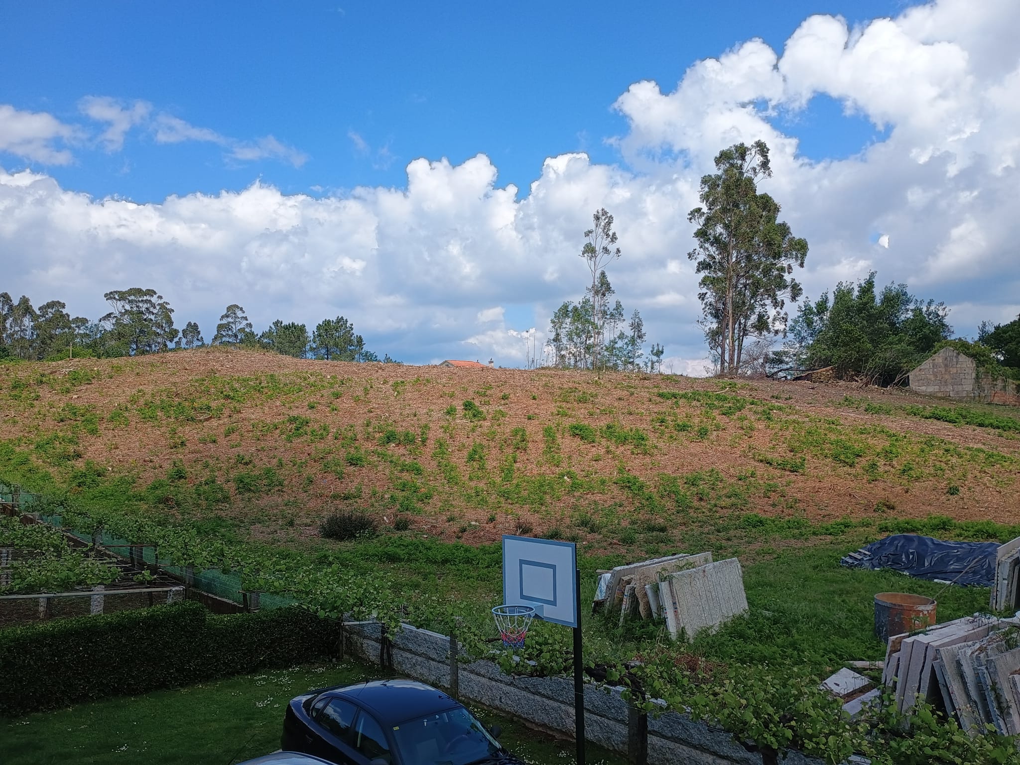 20250522_Nota de prensa Moción Sanxenxo Libre Eucaliptos_3