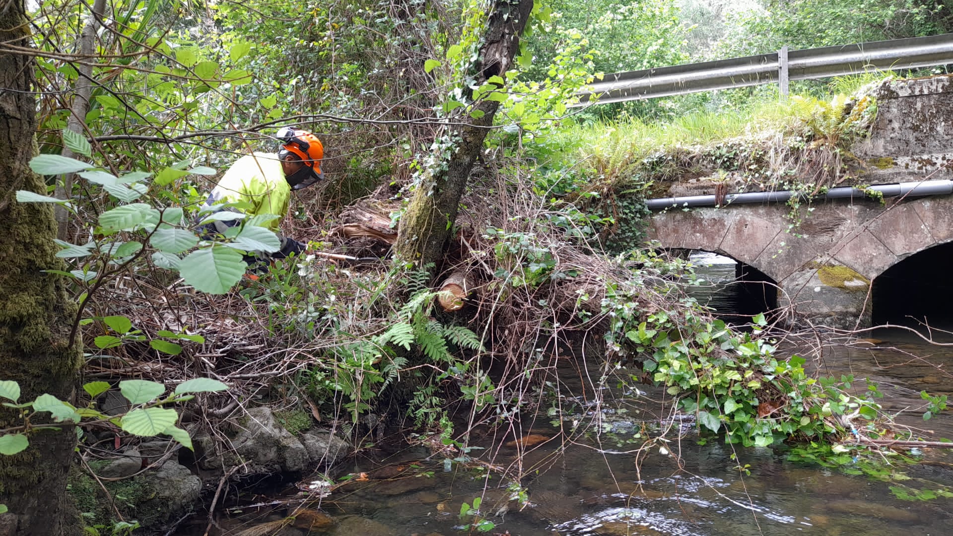 20250526 TraballosConservacionFluvialCarino (1)