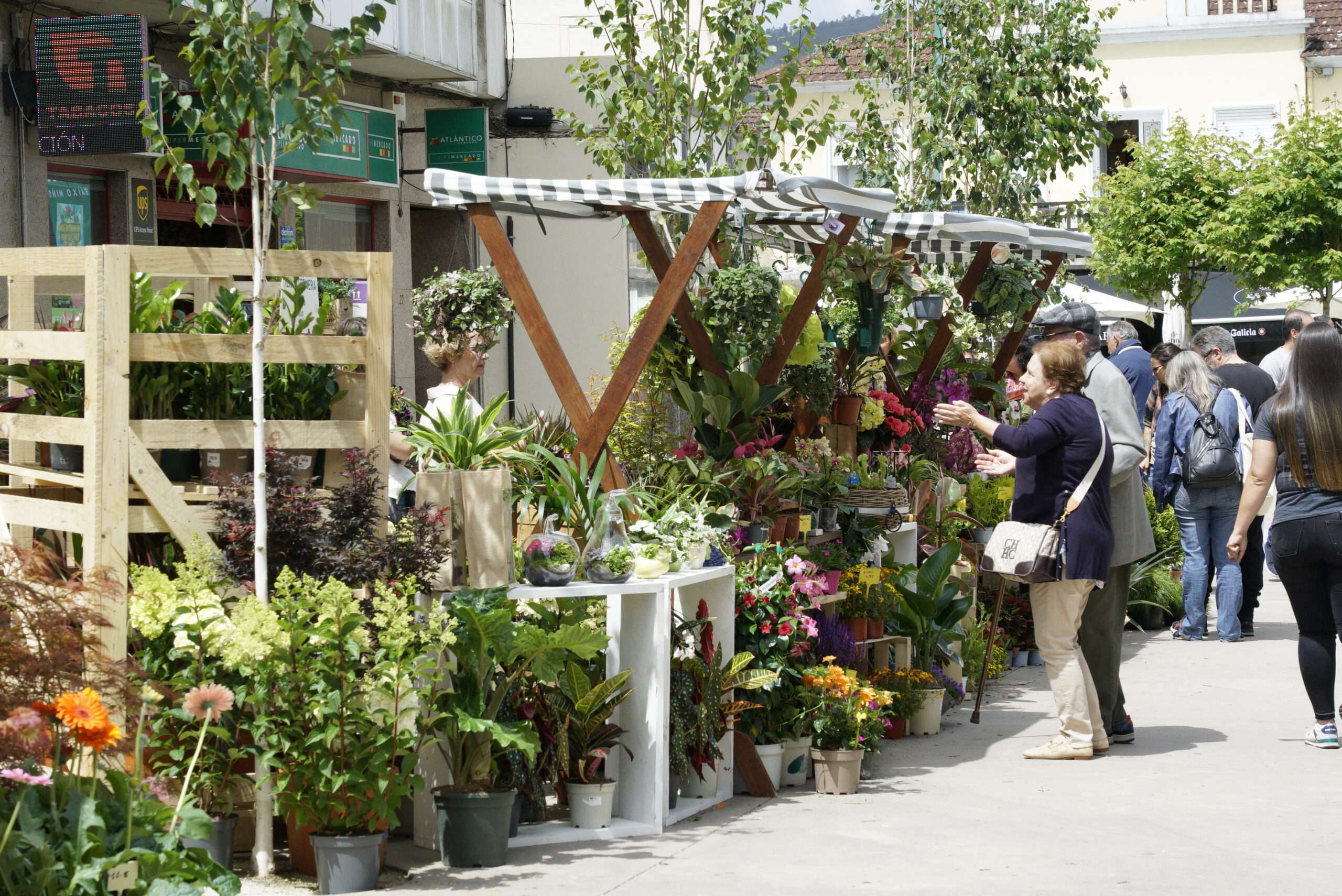 Feira de Cultivos do Baixo Miño 03