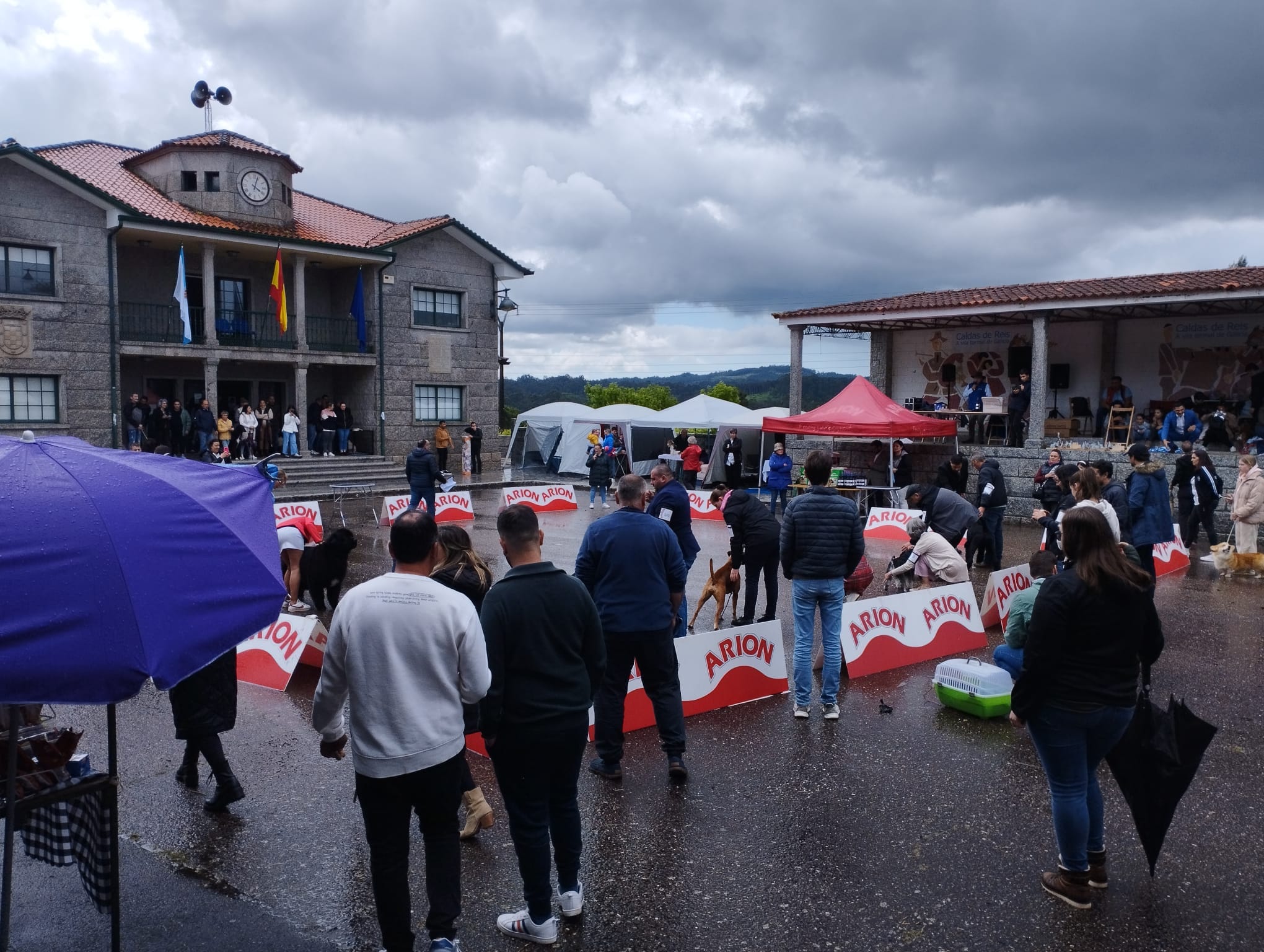 Festa do Can edición 2024