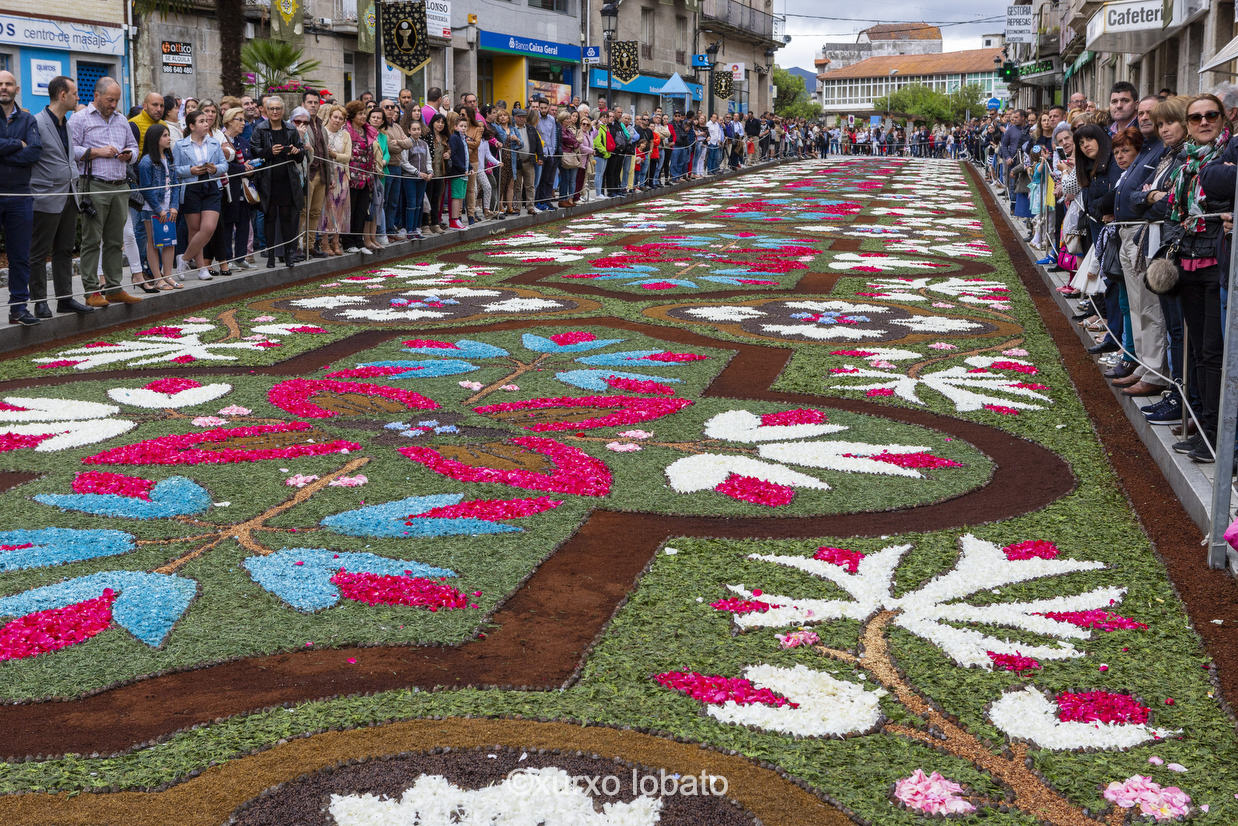 FESTAS DE GALICIA