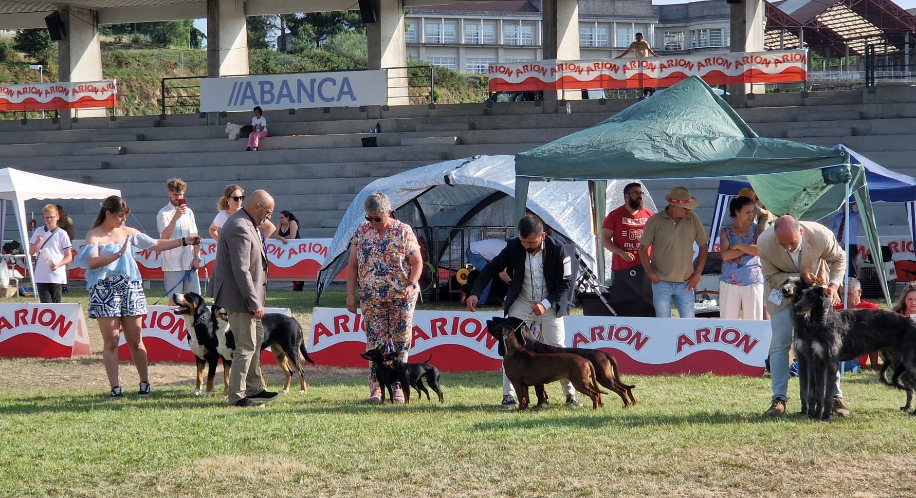 Participantes nunha edición anterior destes concursos na FIGA -1