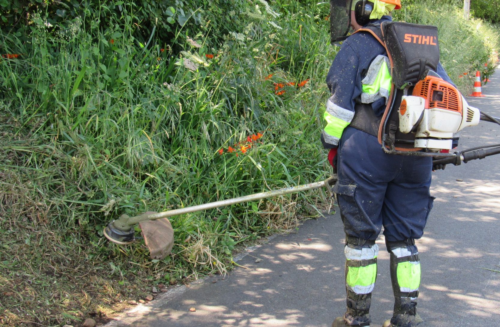 convocatoria Aprol Rural