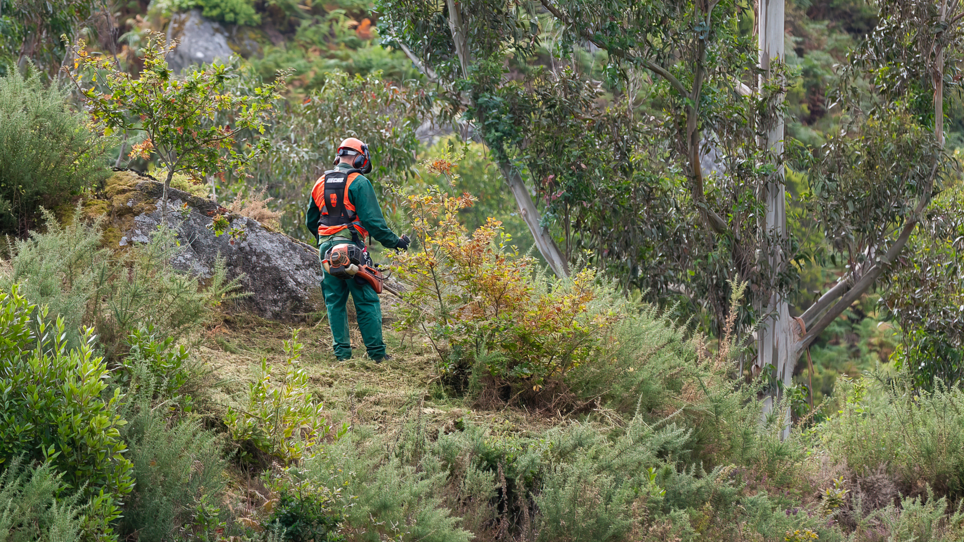 foto de arquivo dun peón rozando no castelo de naraío – imaxe César Galdo