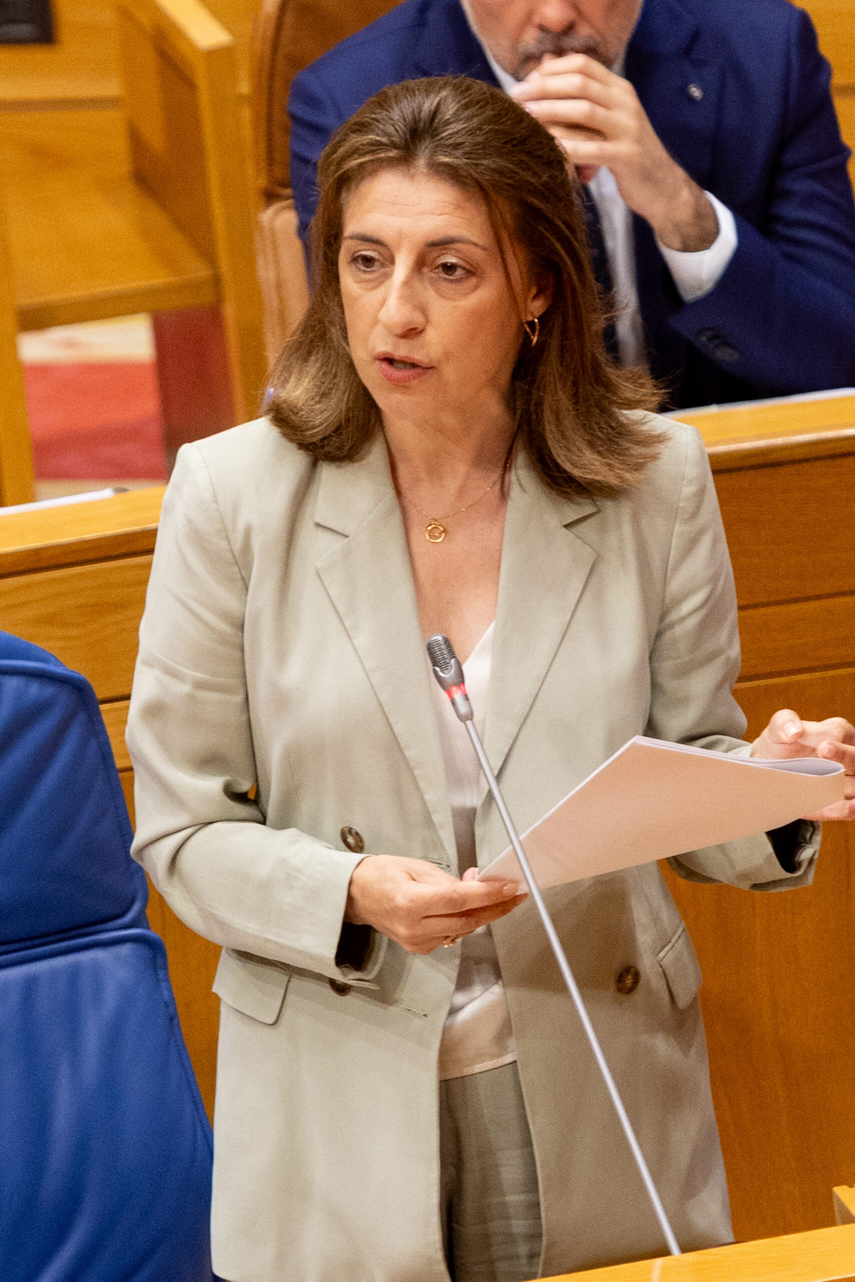 20250611 AVMPreguntaParlamentoEolicos