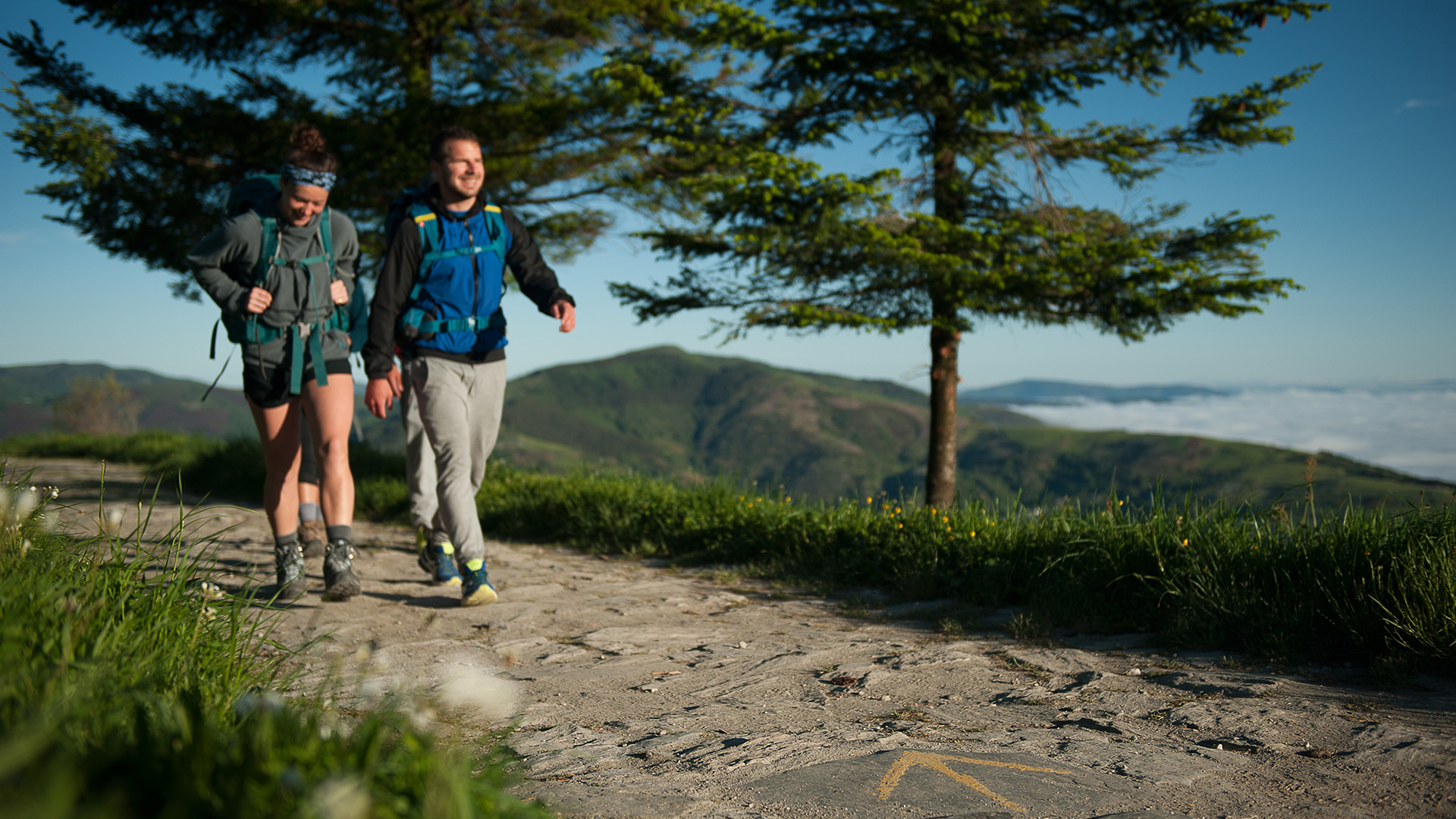 20250615 NPContrataciónCamiñoInglésAbegondo