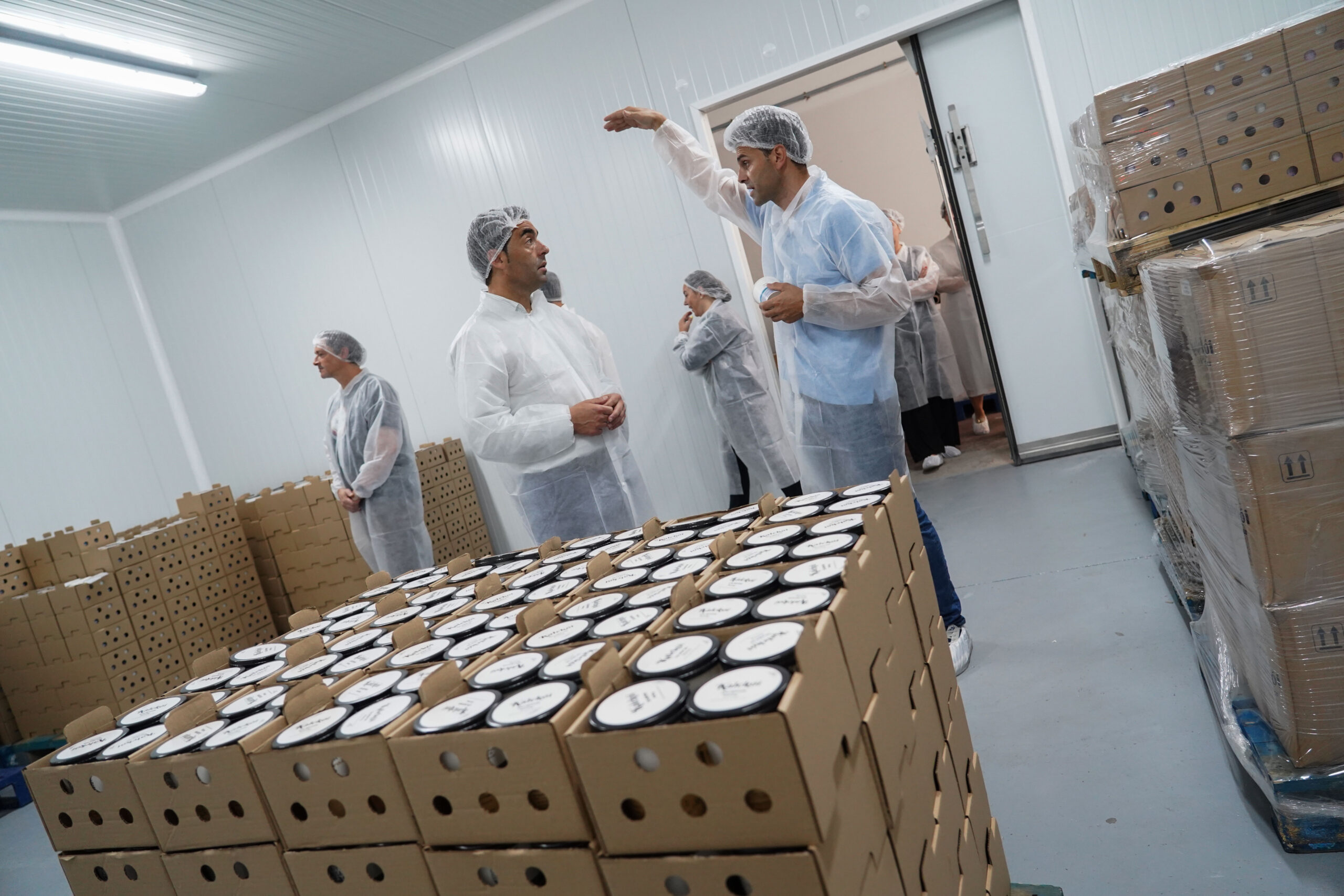 20250619_smartpeme-kalekoi_slorenzo_01