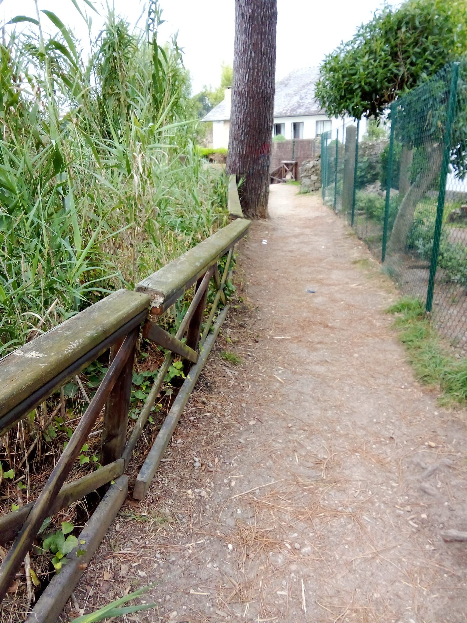 Imagen de WhatsApp 2025-06-11 a las 19.28.40_5c22ba57