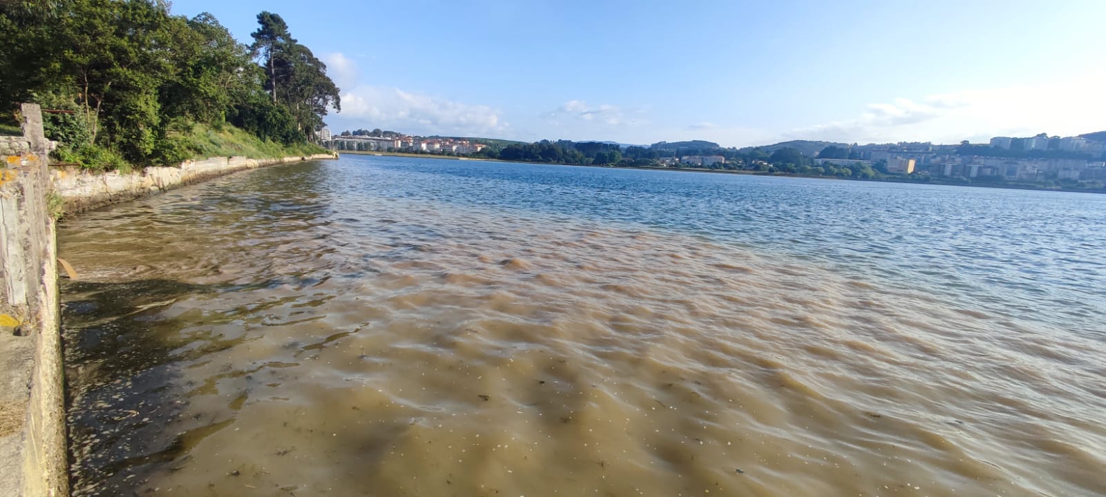 Imagen de WhatsApp 2025-06-14 a las 09.36.47_ec4bce75