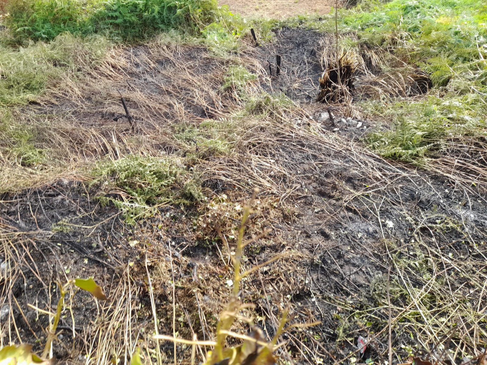 Incendio rua paseo do rollo